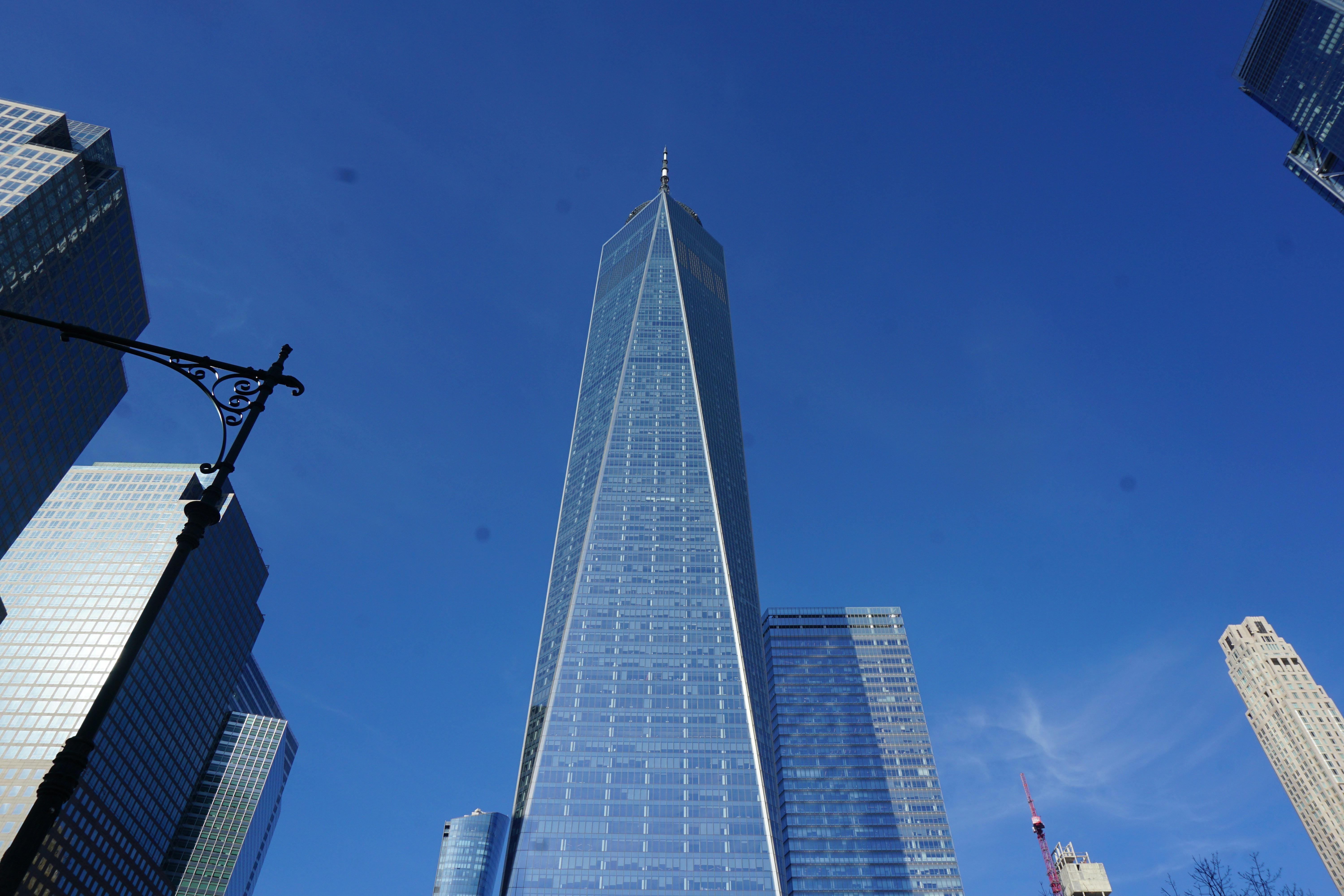 Photo by frolicsomefairy