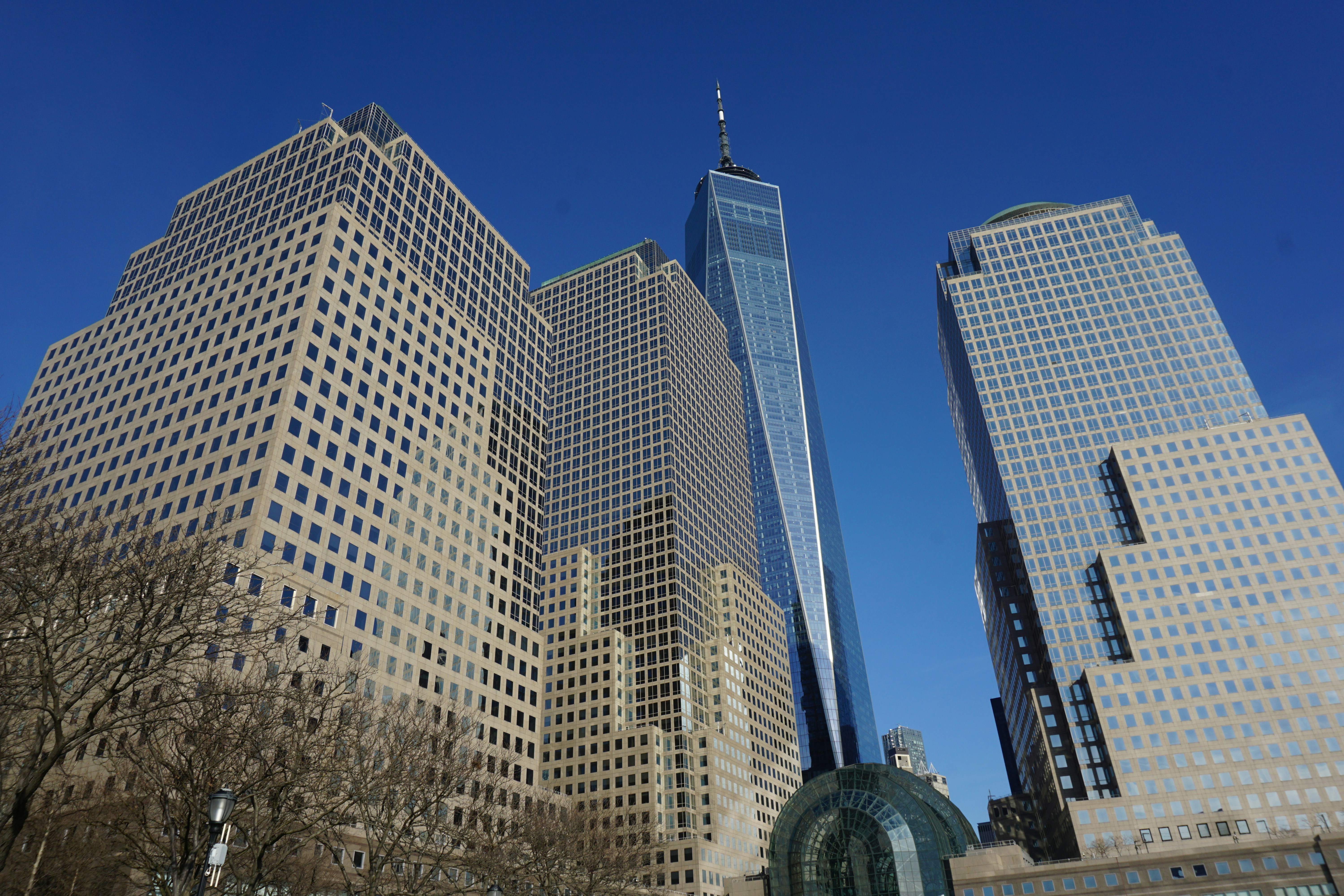 Photo by frolicsomefairy