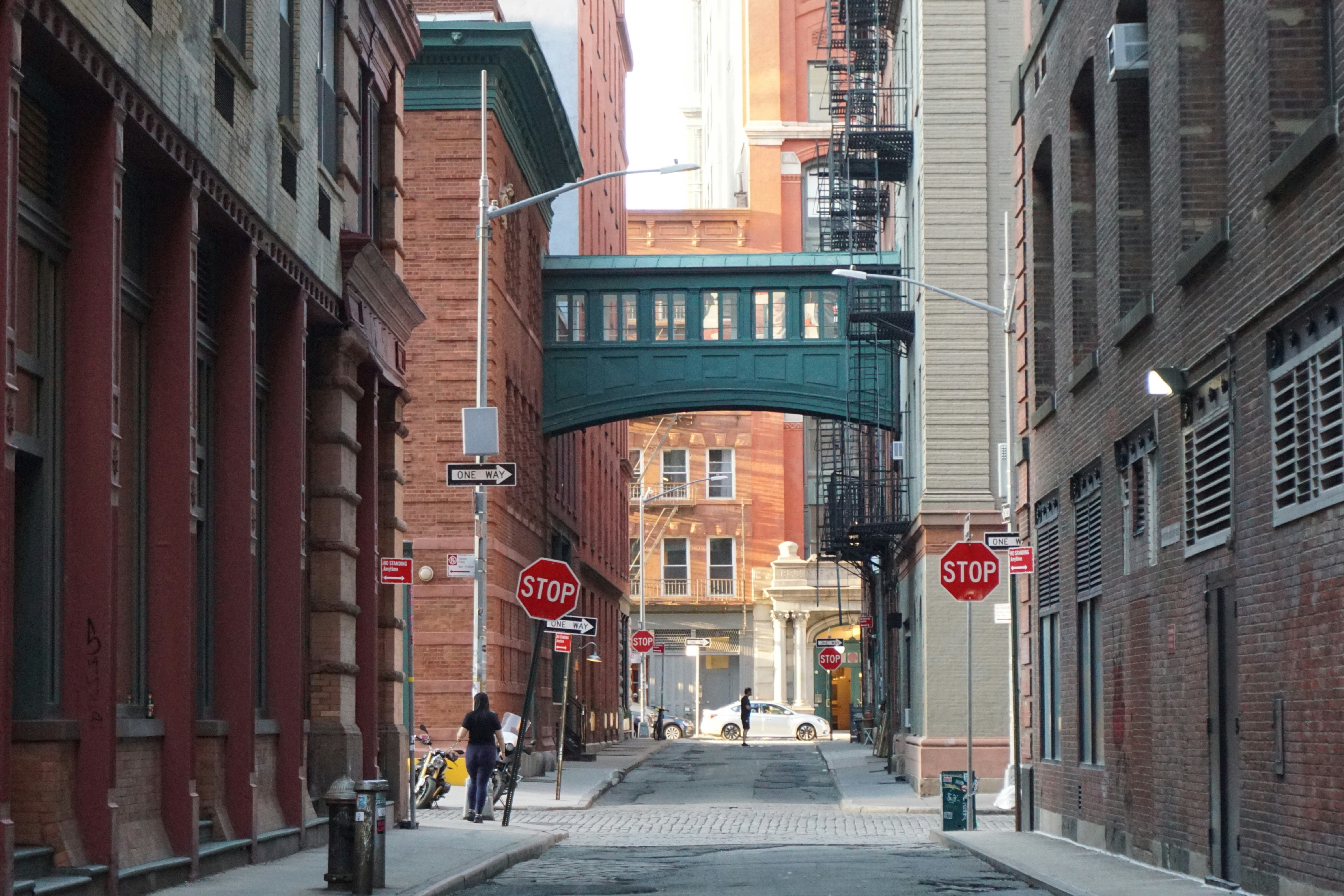 Photo by frolicsomefairy