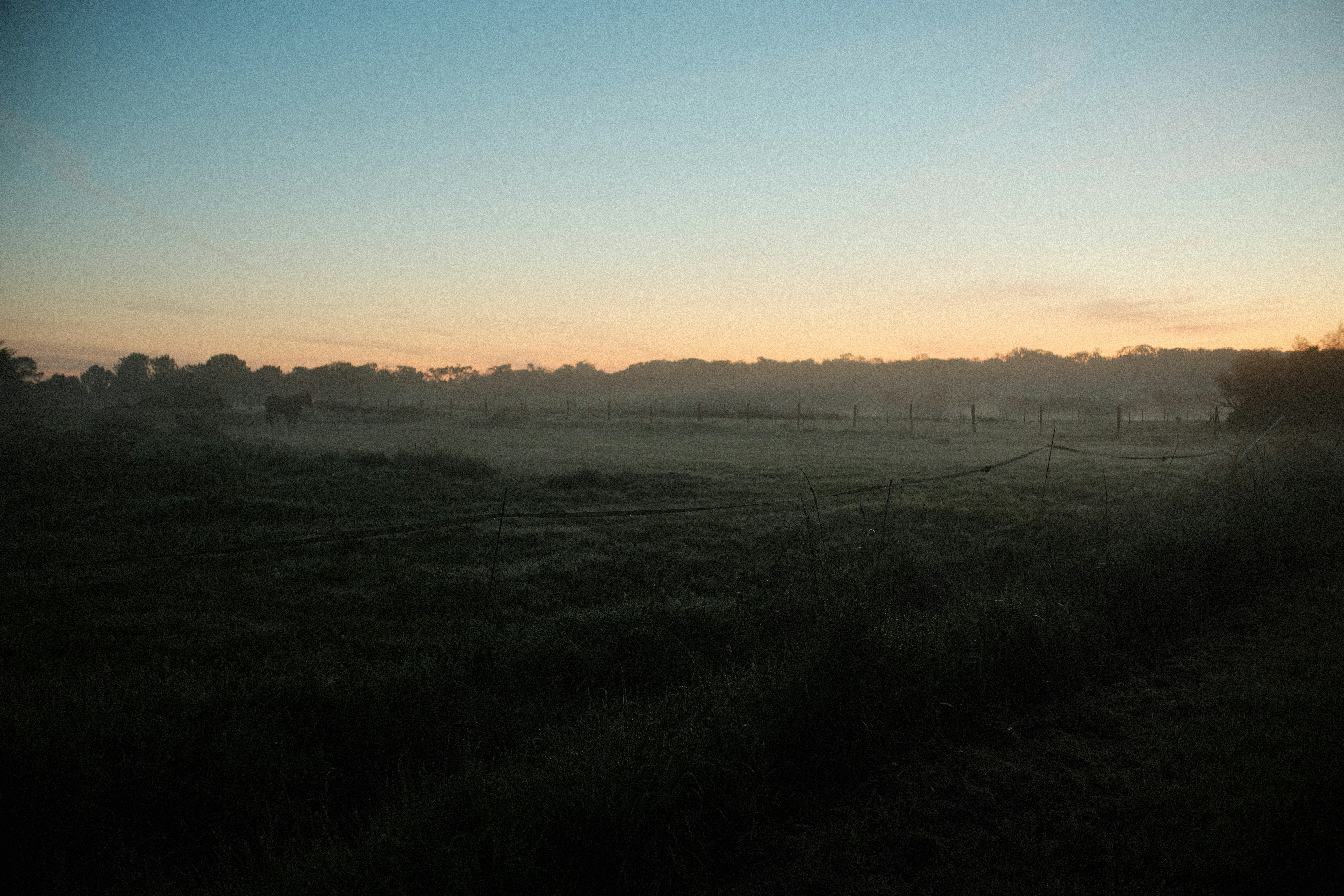 Photo by alexislours