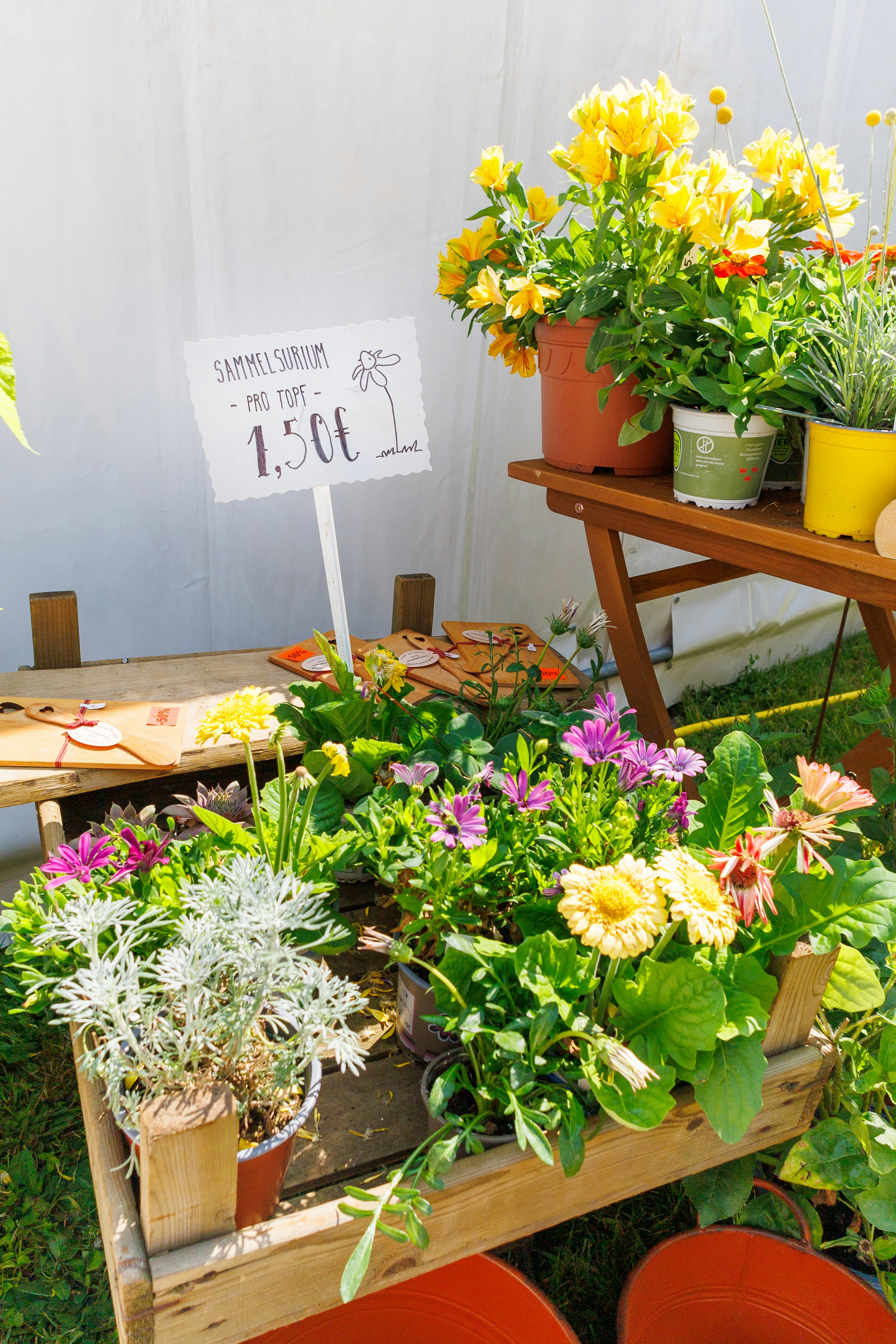 A table topped with lots of potted plants