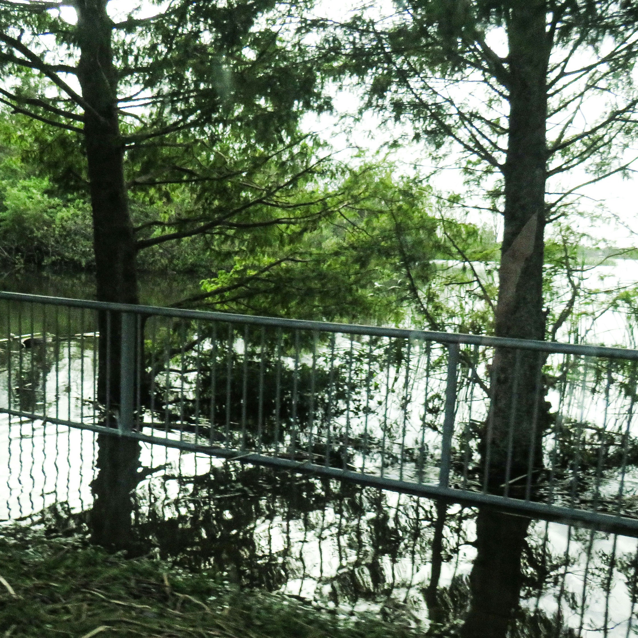 A fenced in area next to a body of water