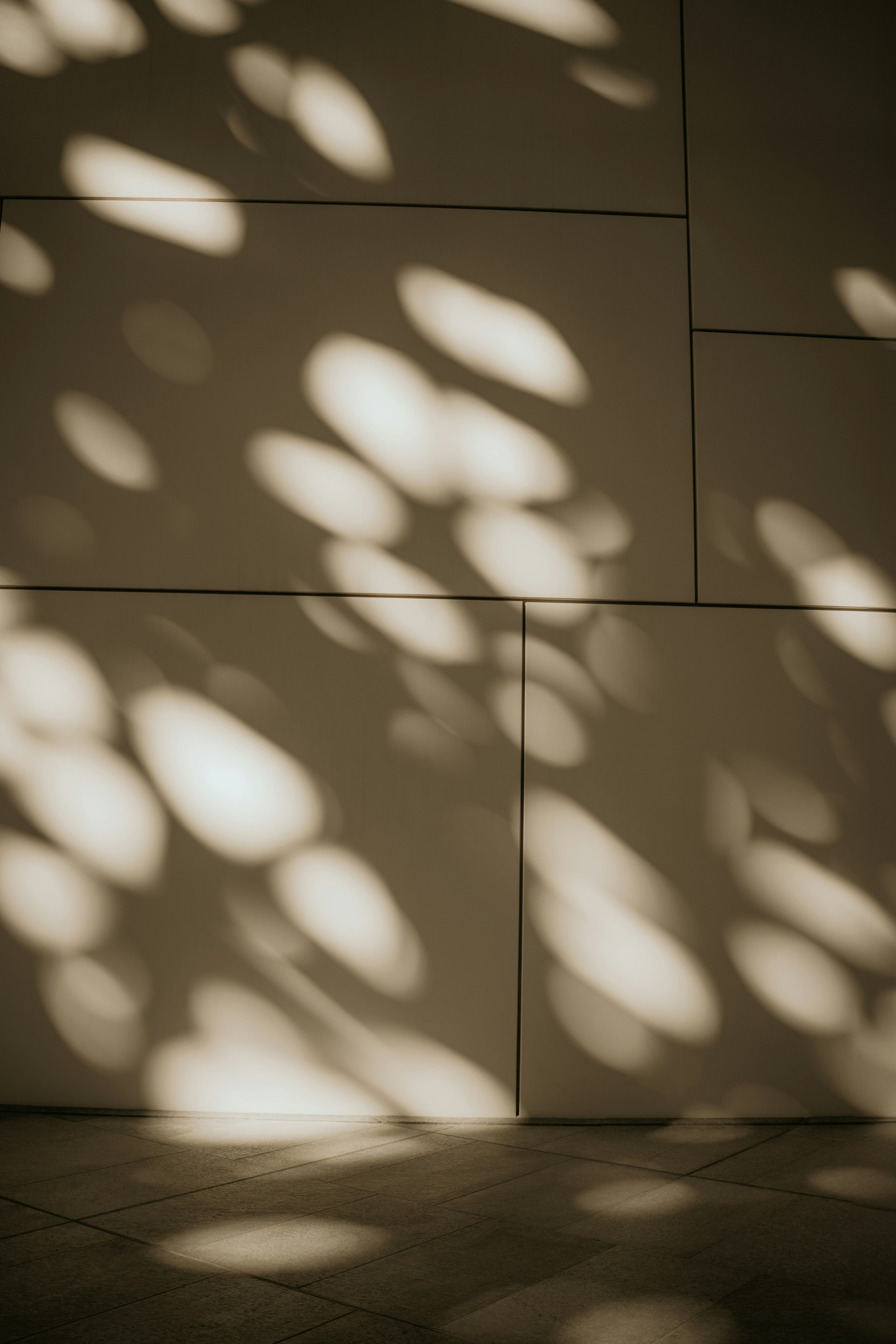 Photo by dubai_love_story