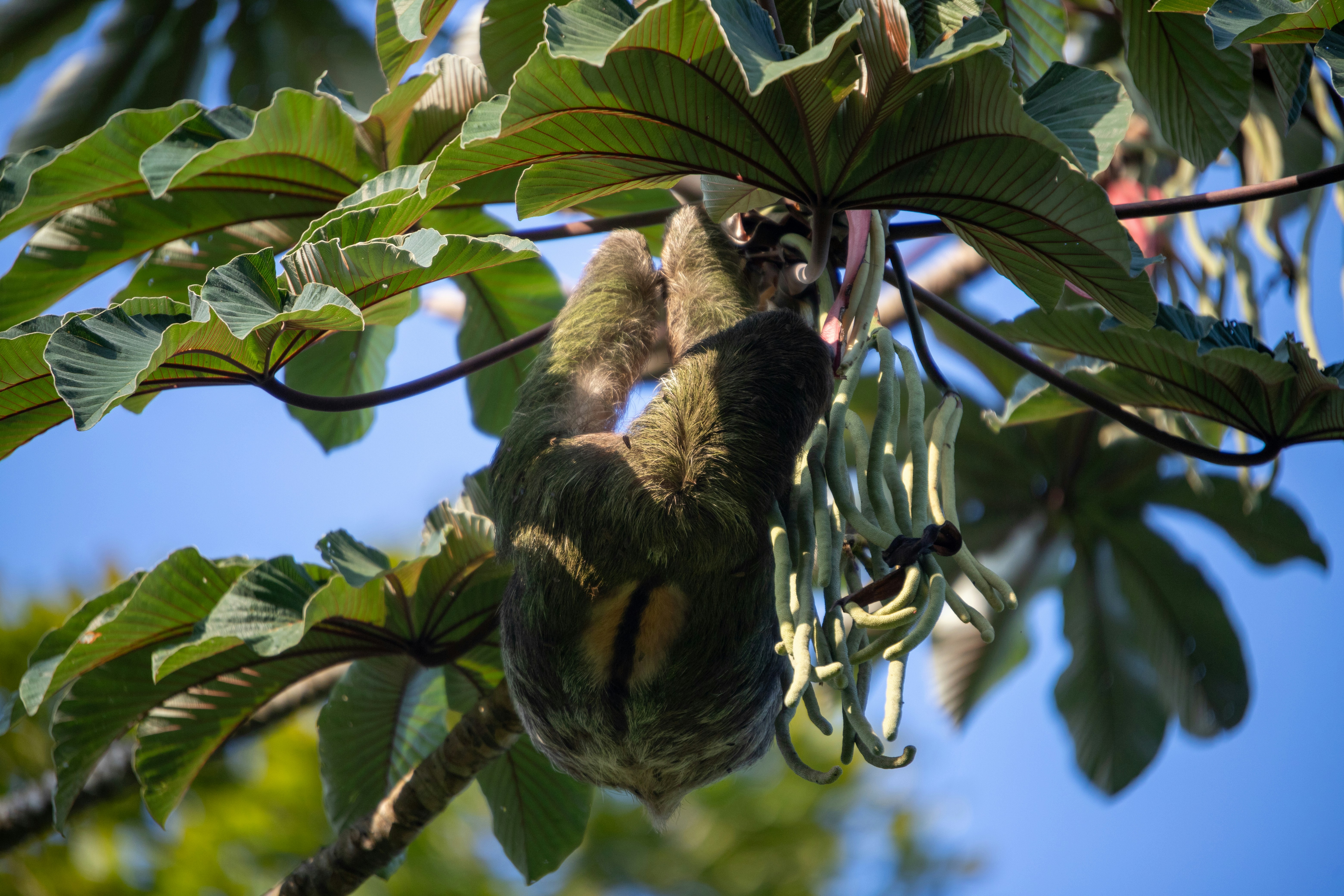 A peaceful night’s sleep