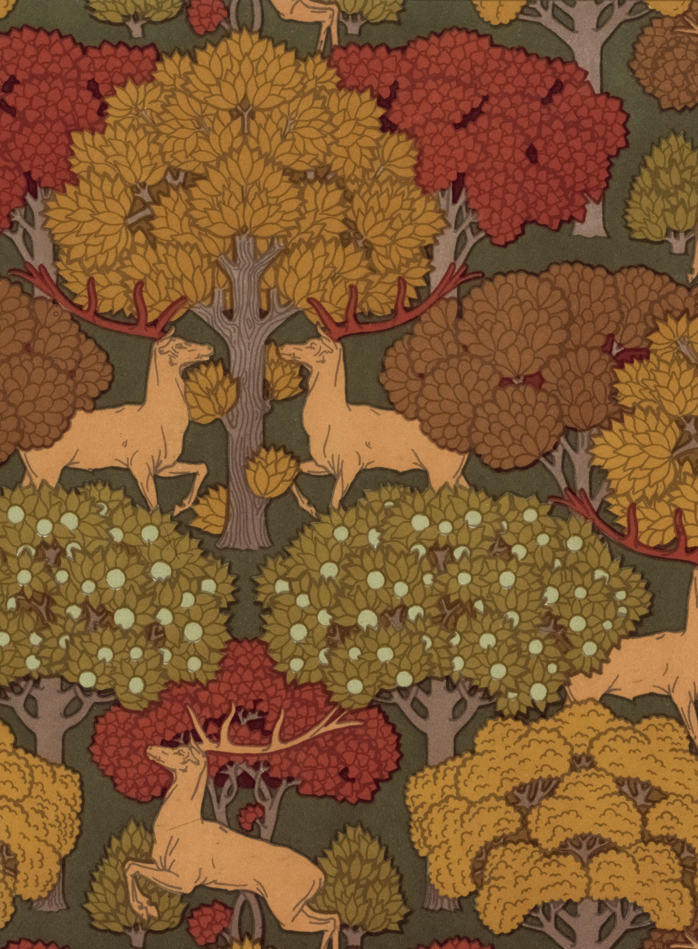 Forest Drawing Pictures | Download Free Images on Unsplash