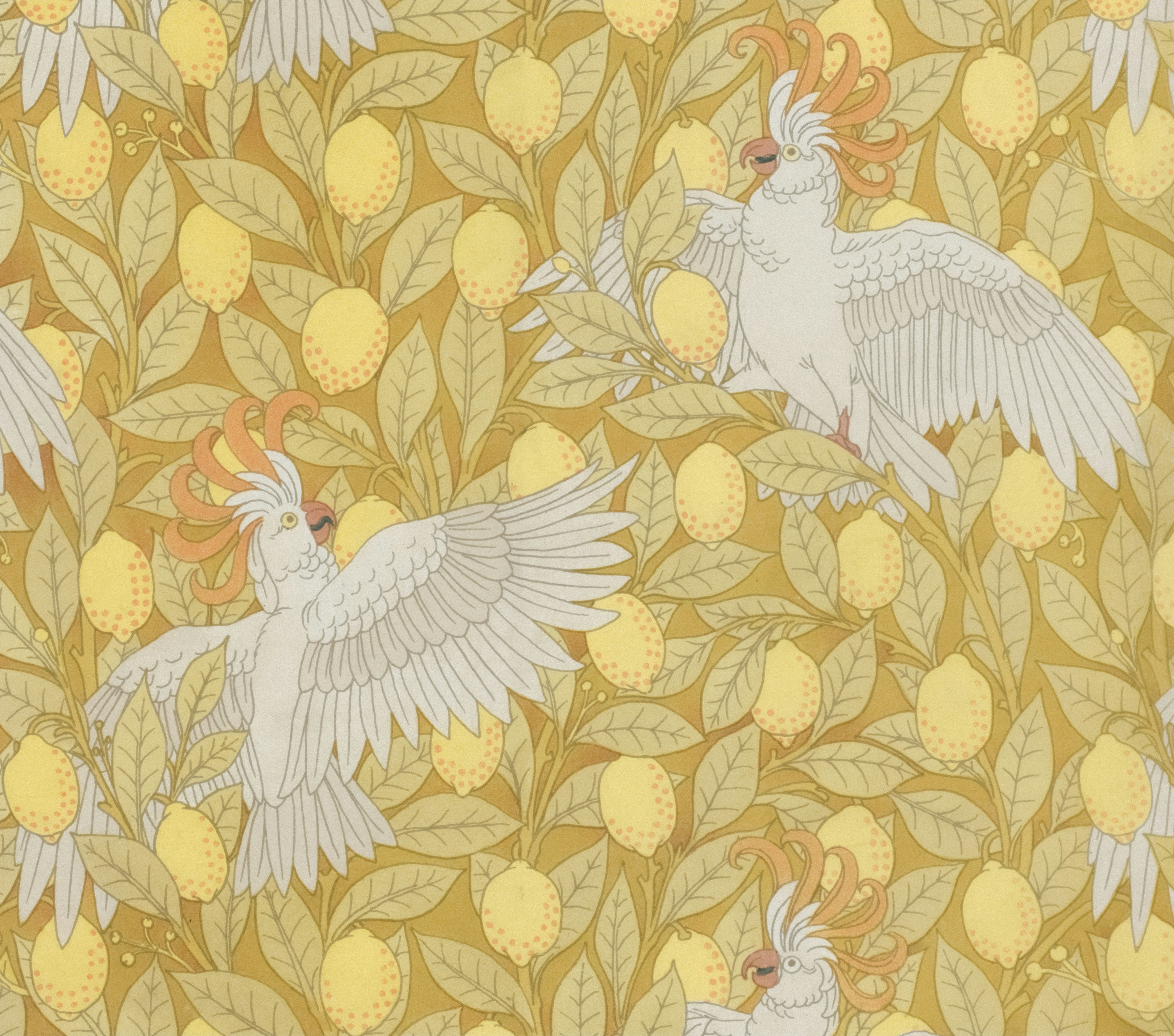White cockatoos and lemons on a yellow background