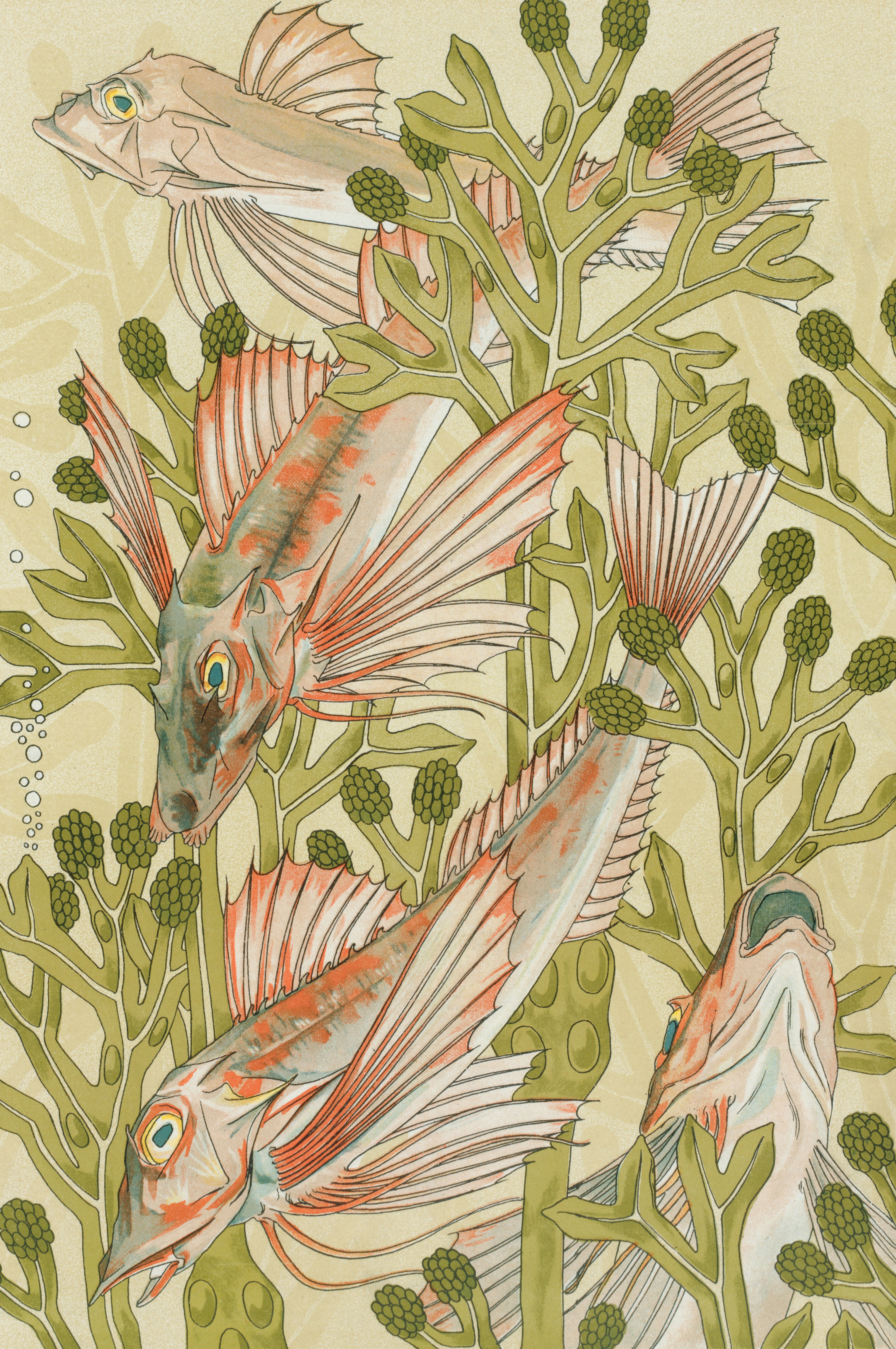 A painting of a group of fish in a plant