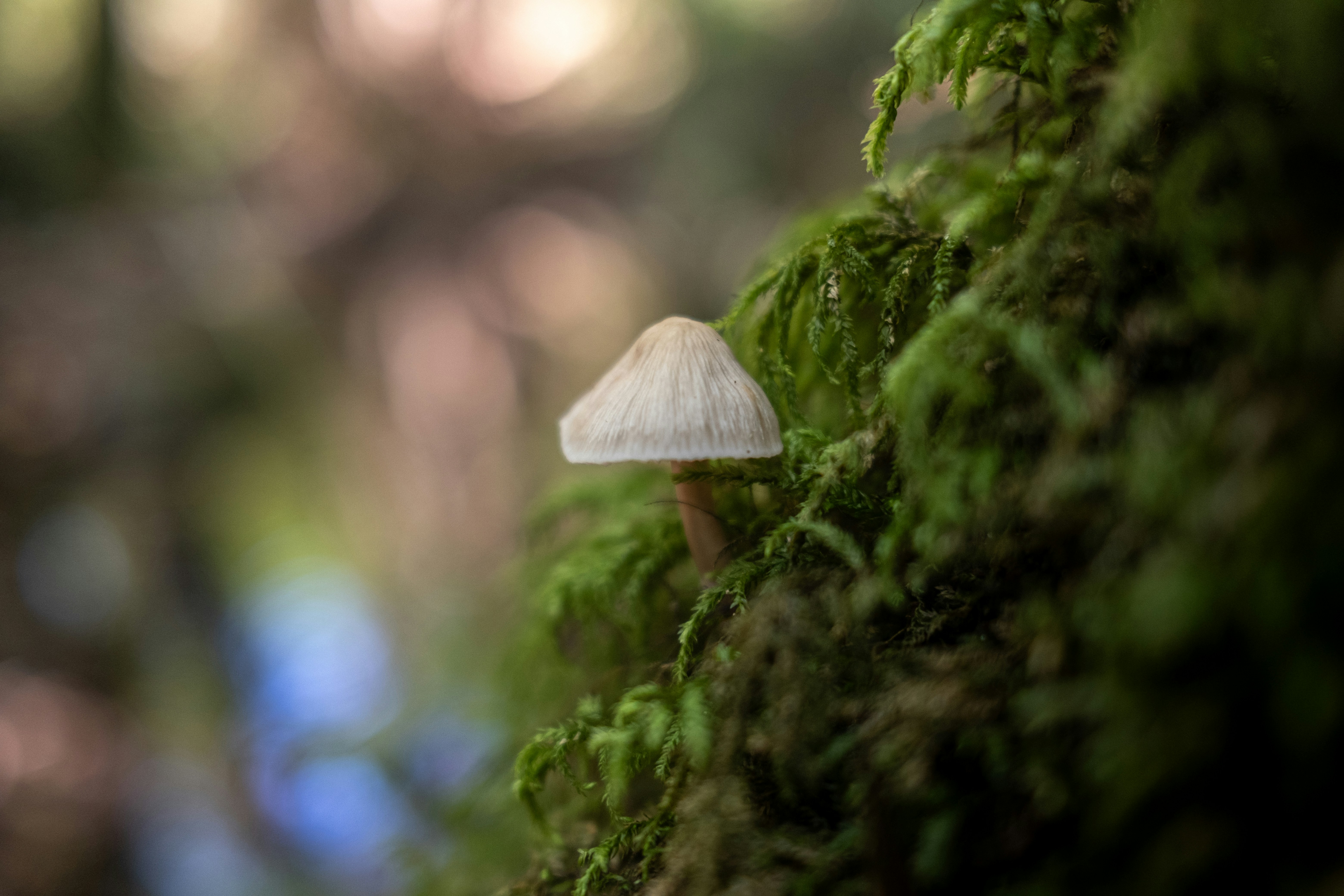 Photo by lauraespana