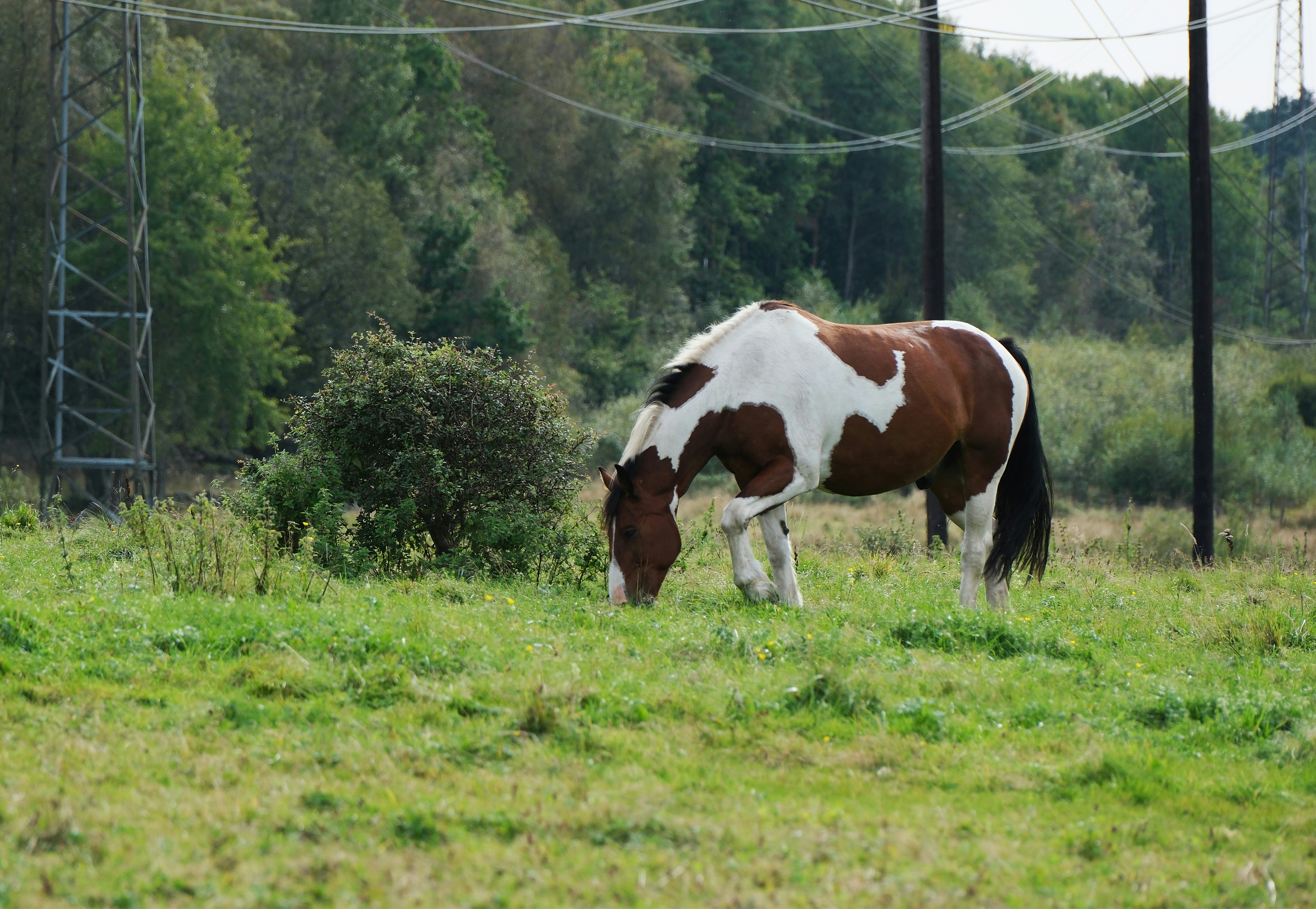 gray computer monitor