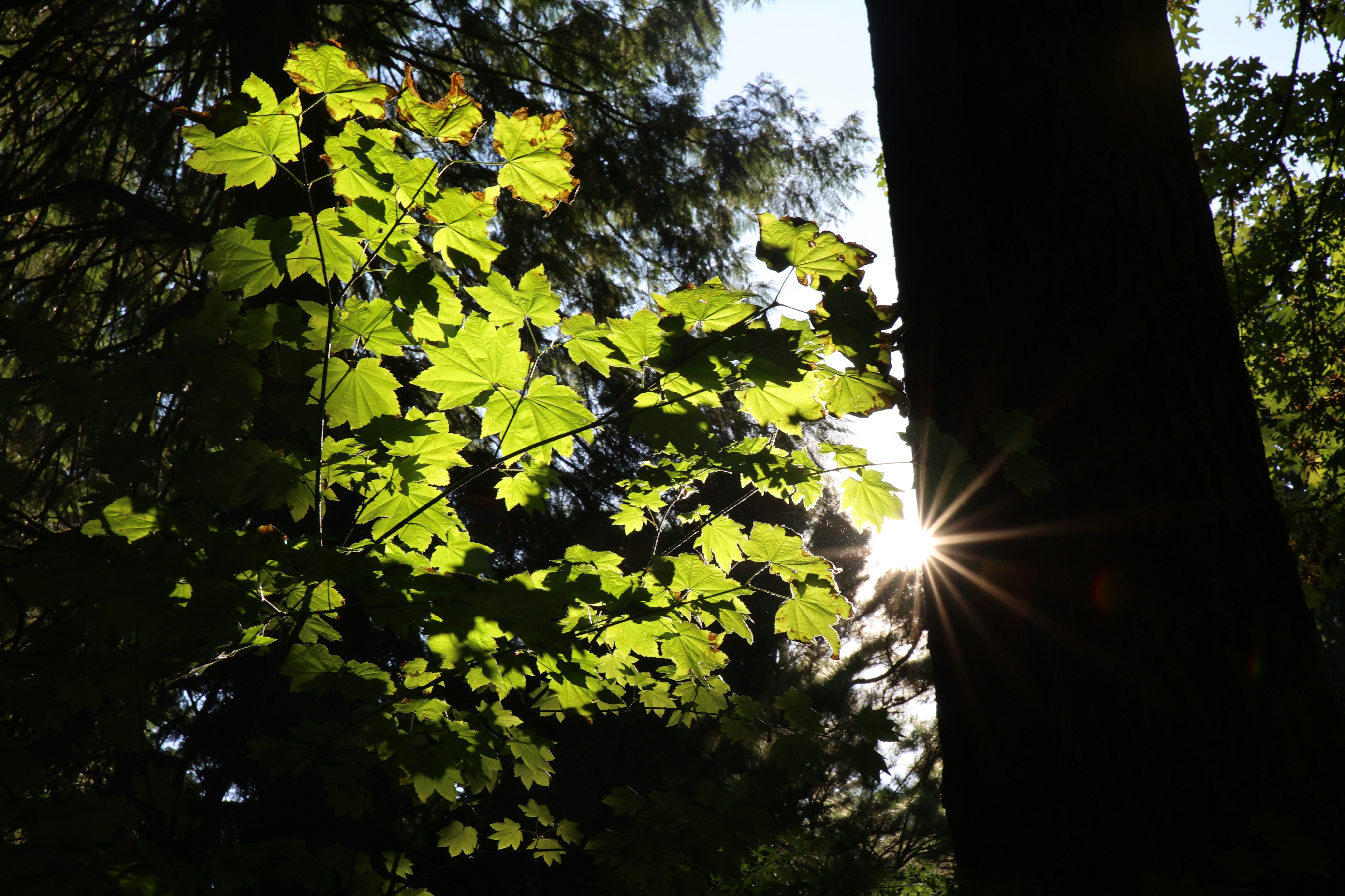 Photo by skyfly_rich