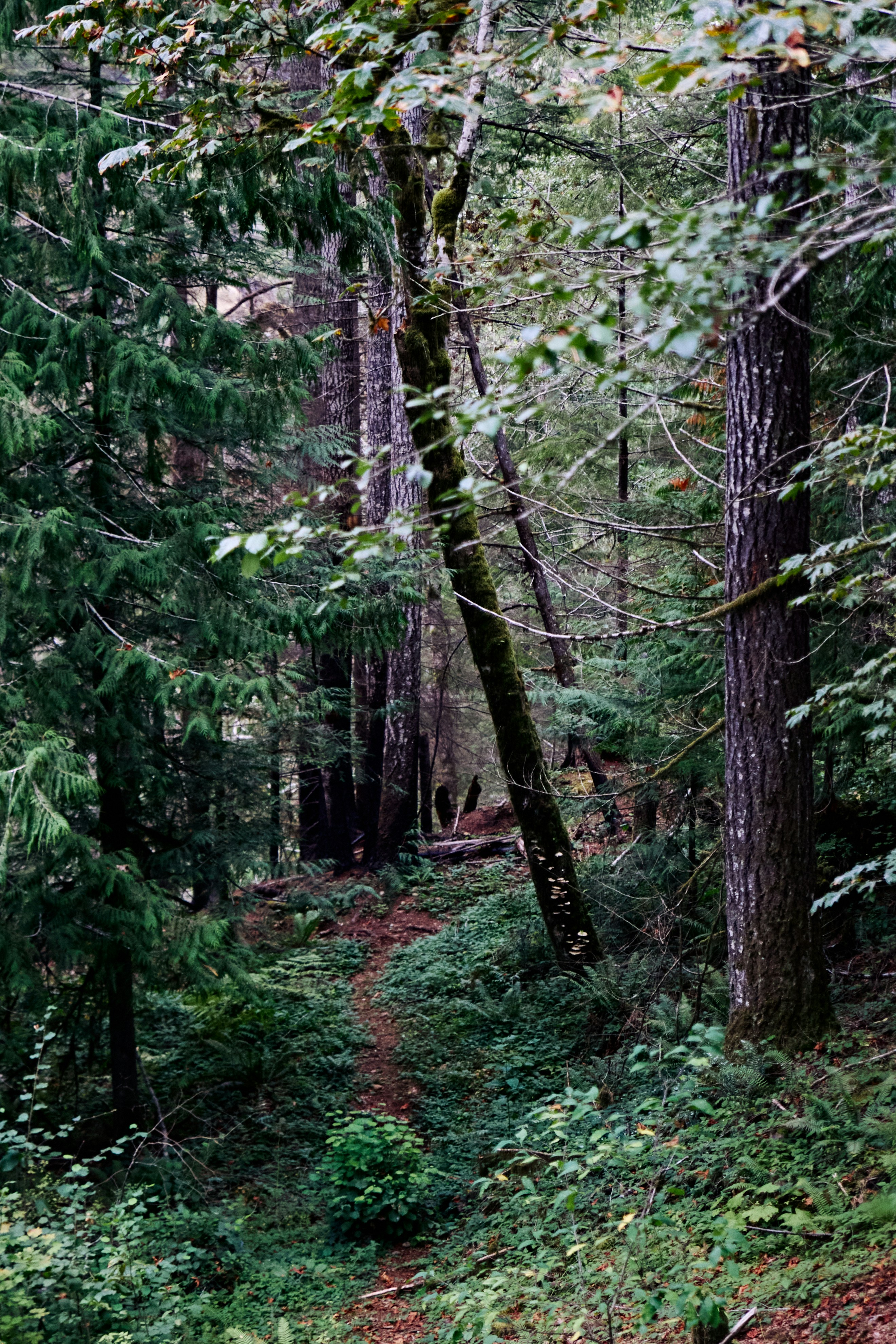 Photo by skyfly_rich