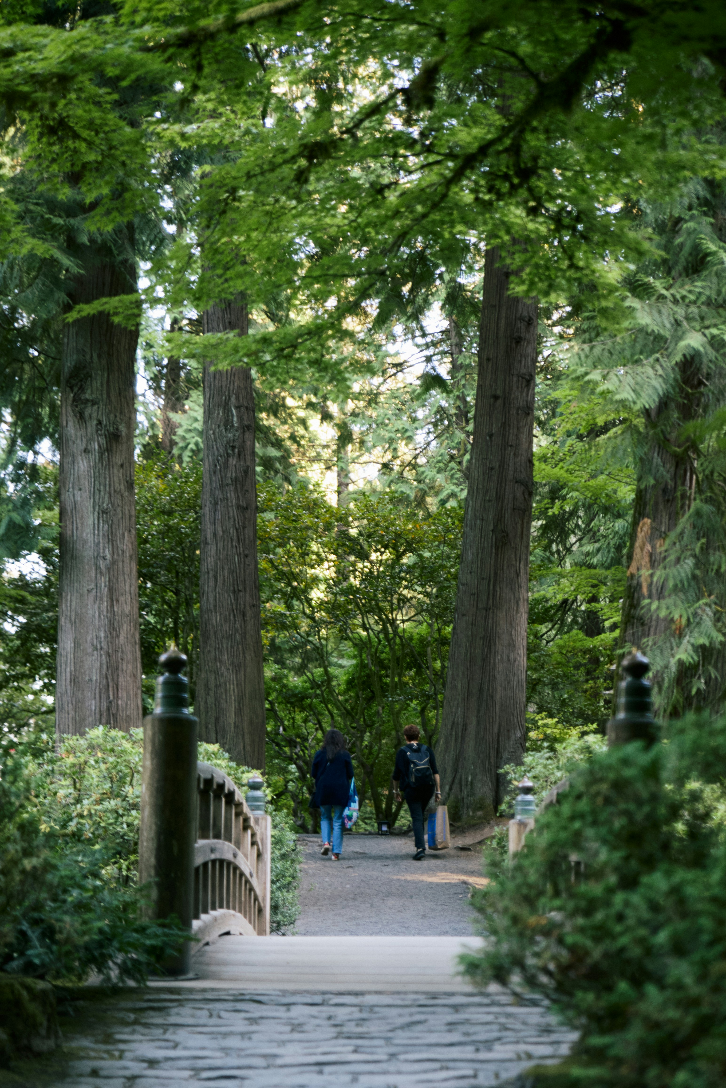 Photo by skyfly_rich