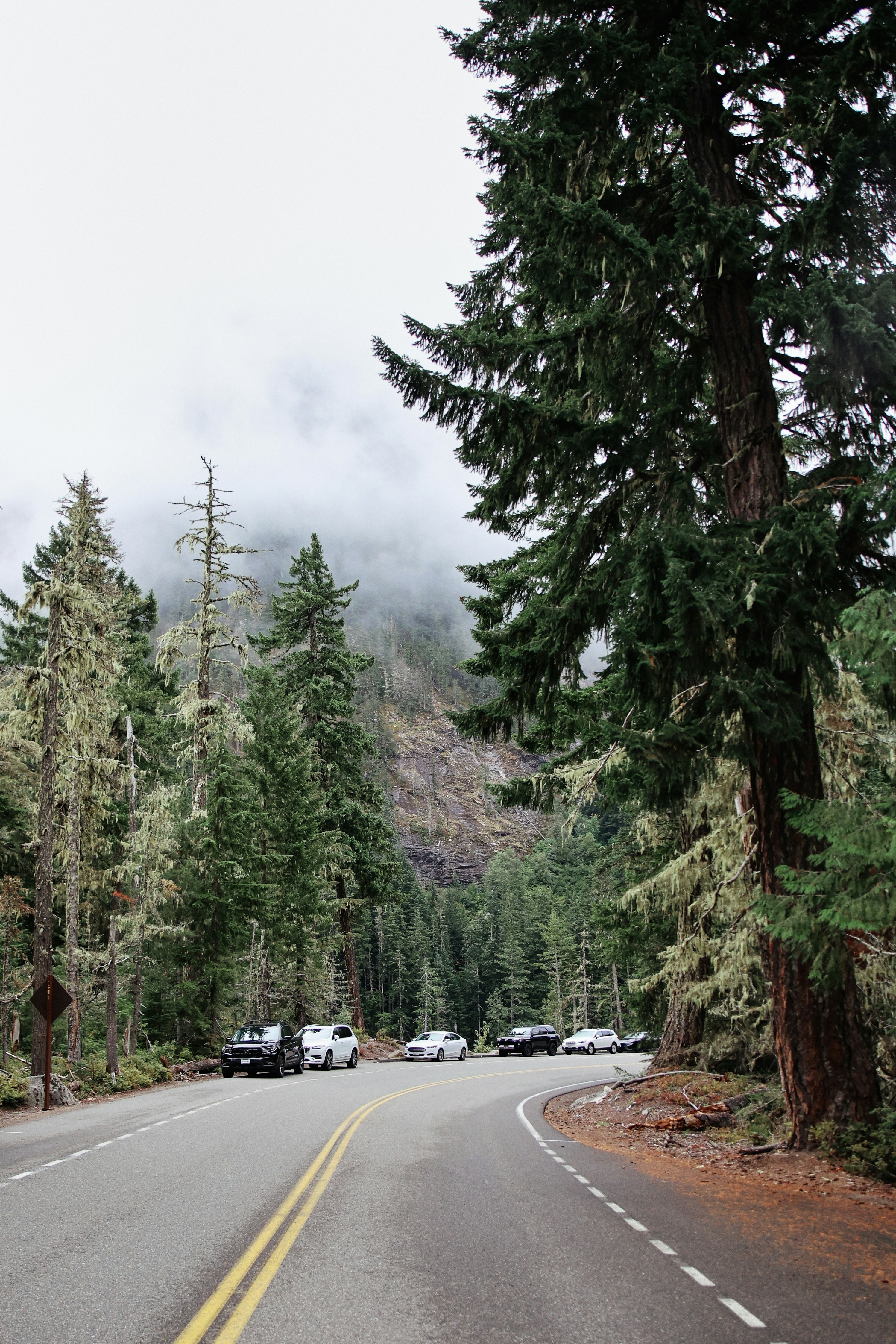 A car driving down a road surrounded by trees