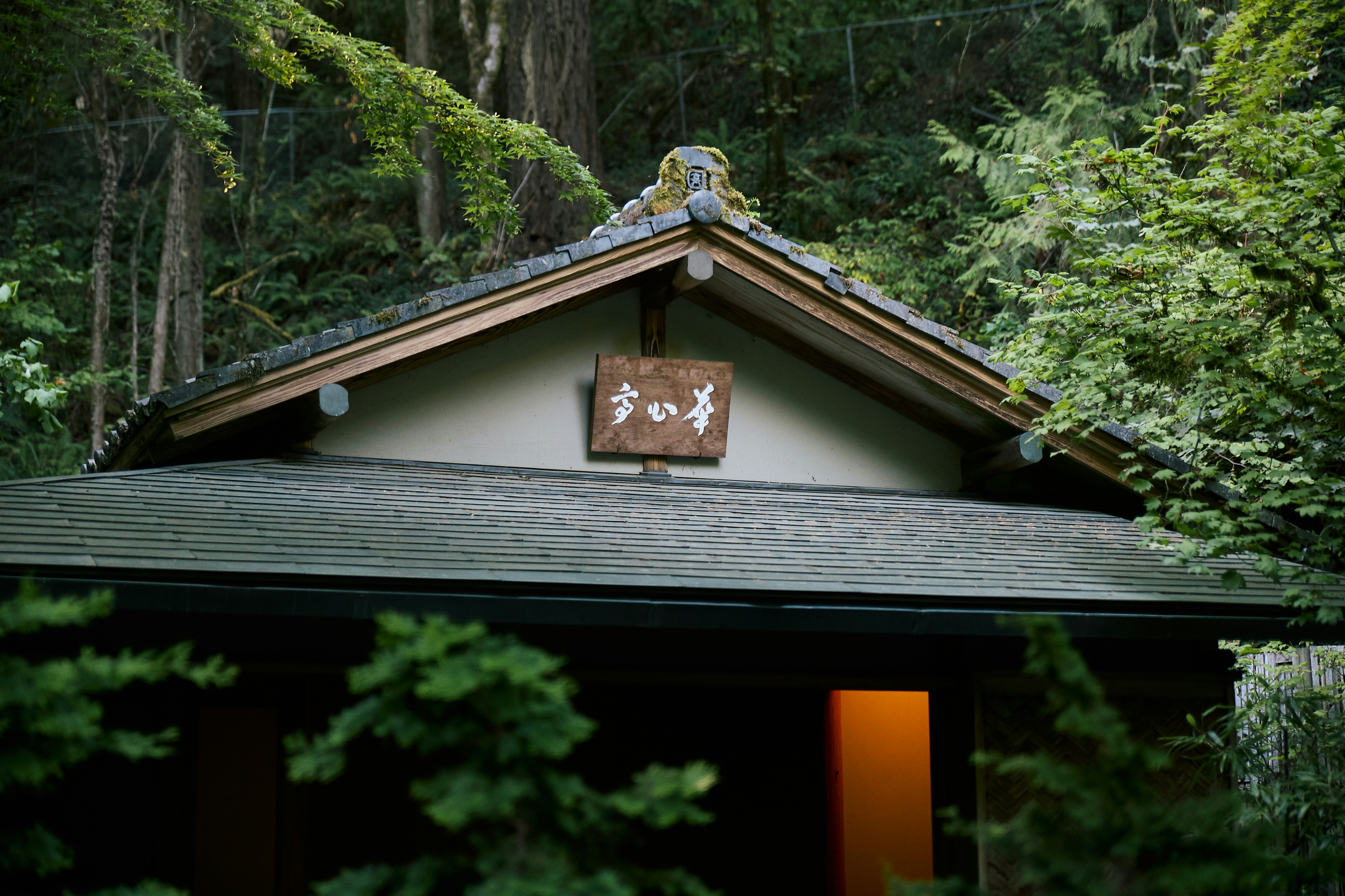 Photo by skyfly_rich