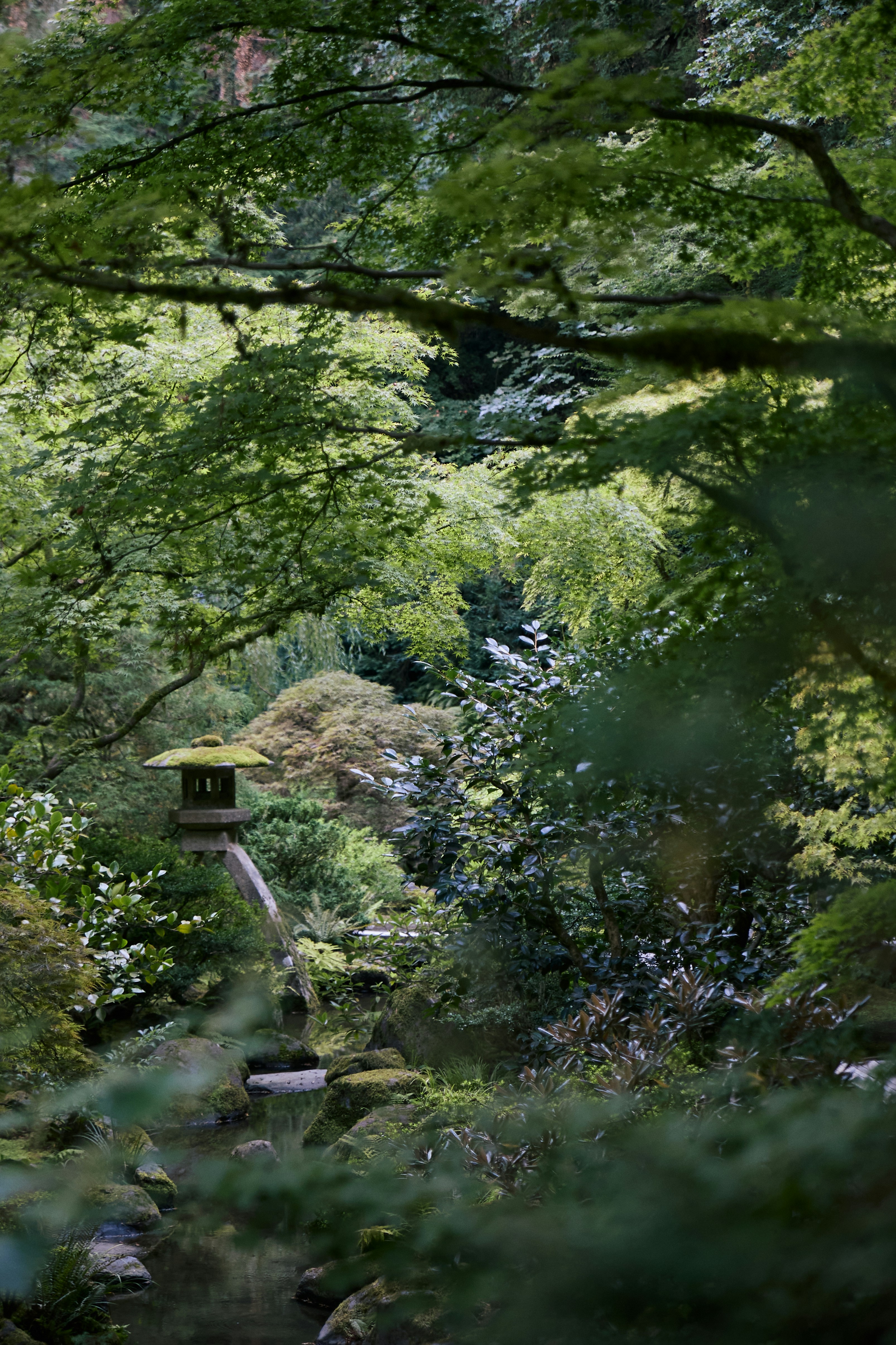 Photo by skyfly_rich