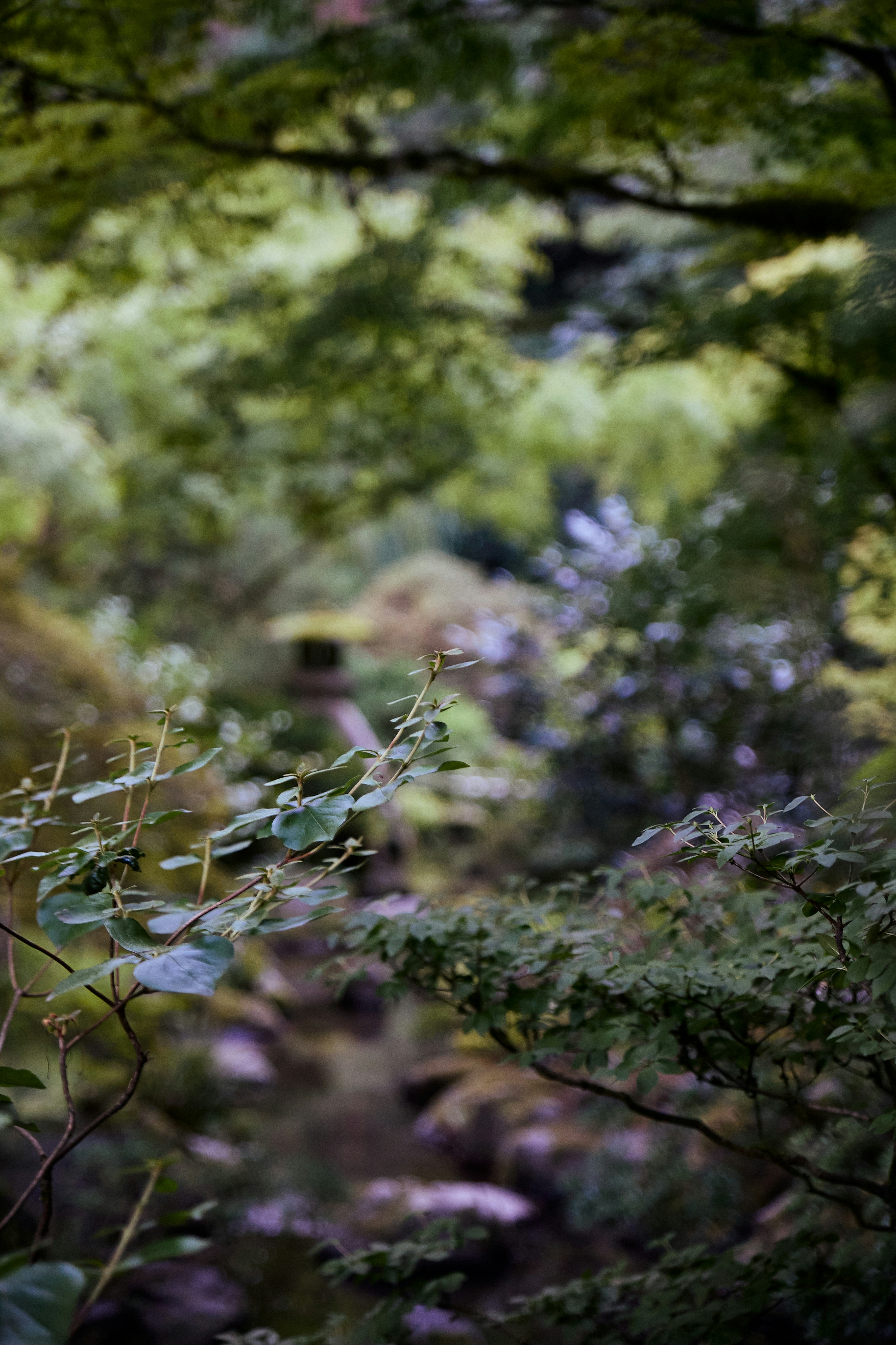 Photo by skyfly_rich