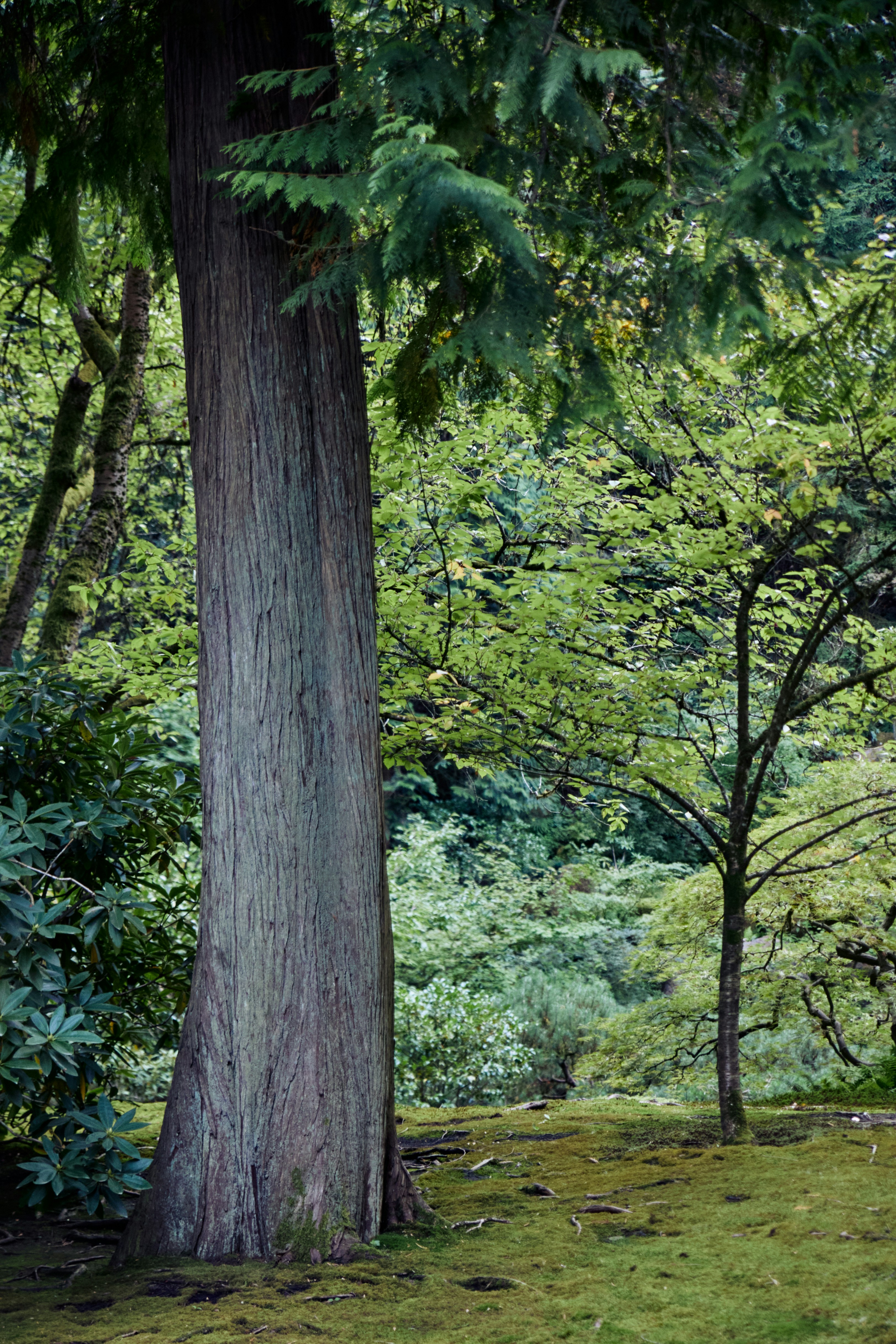 Photo by skyfly_rich