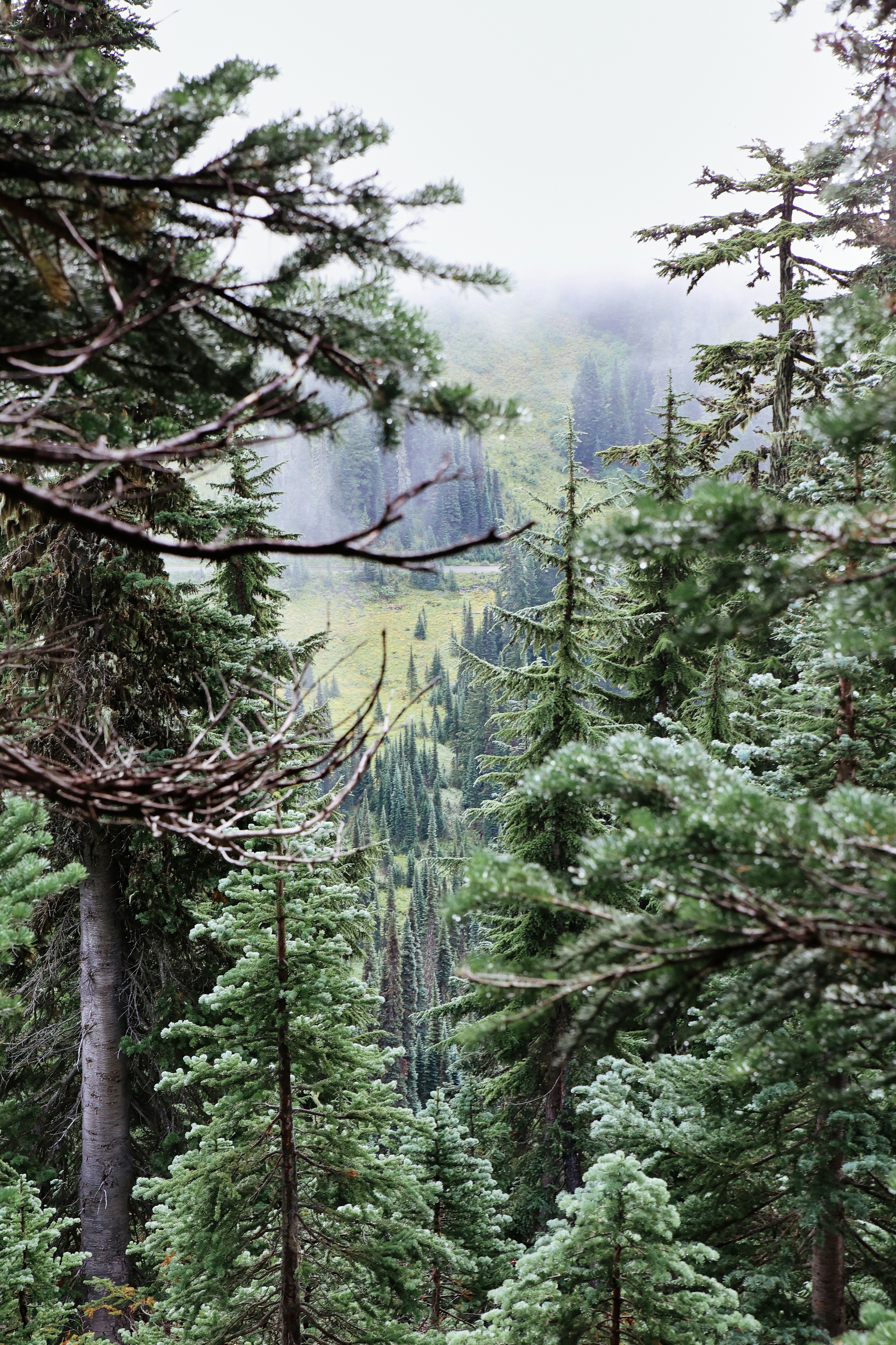 Photo by skyfly_rich