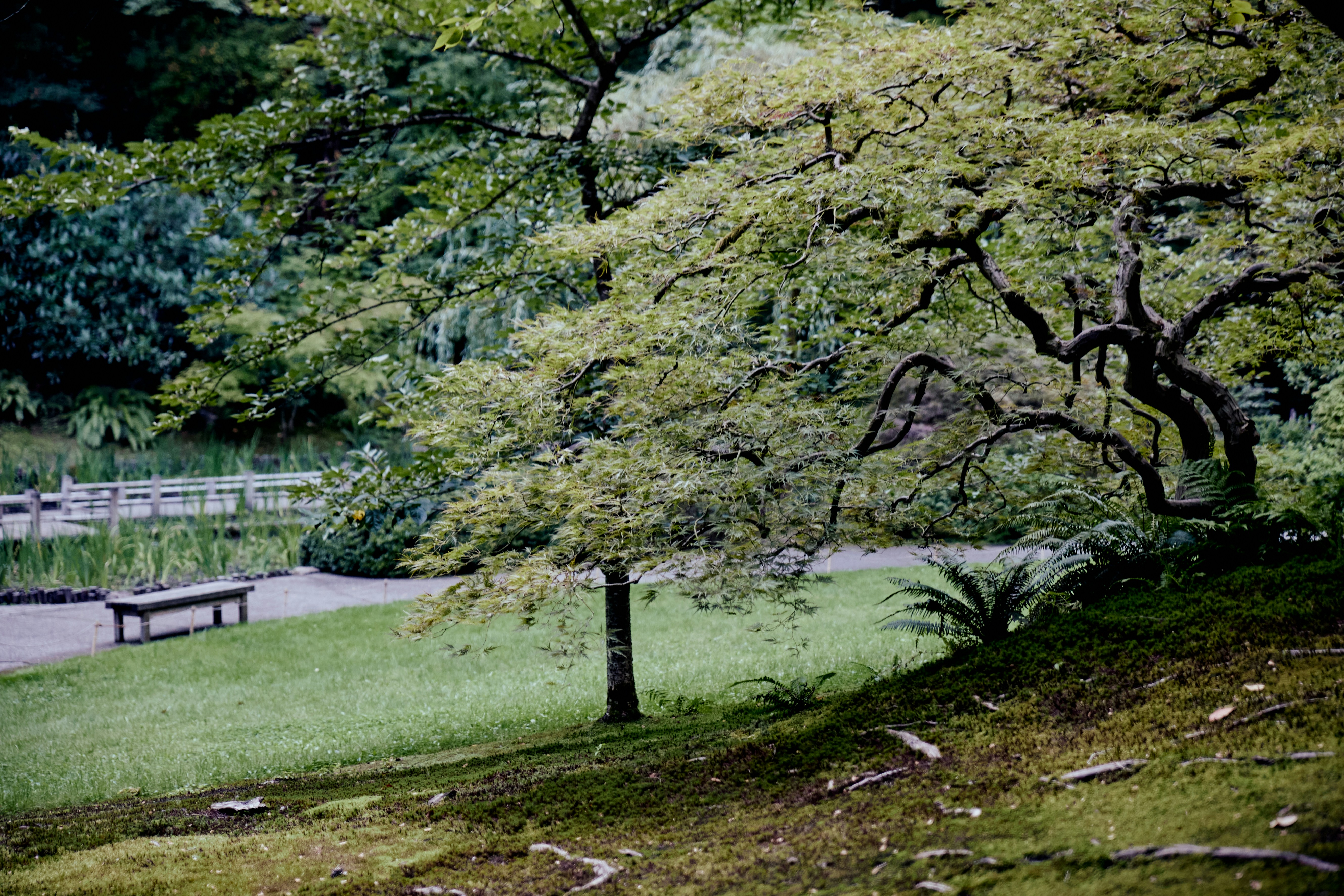 Photo by skyfly_rich