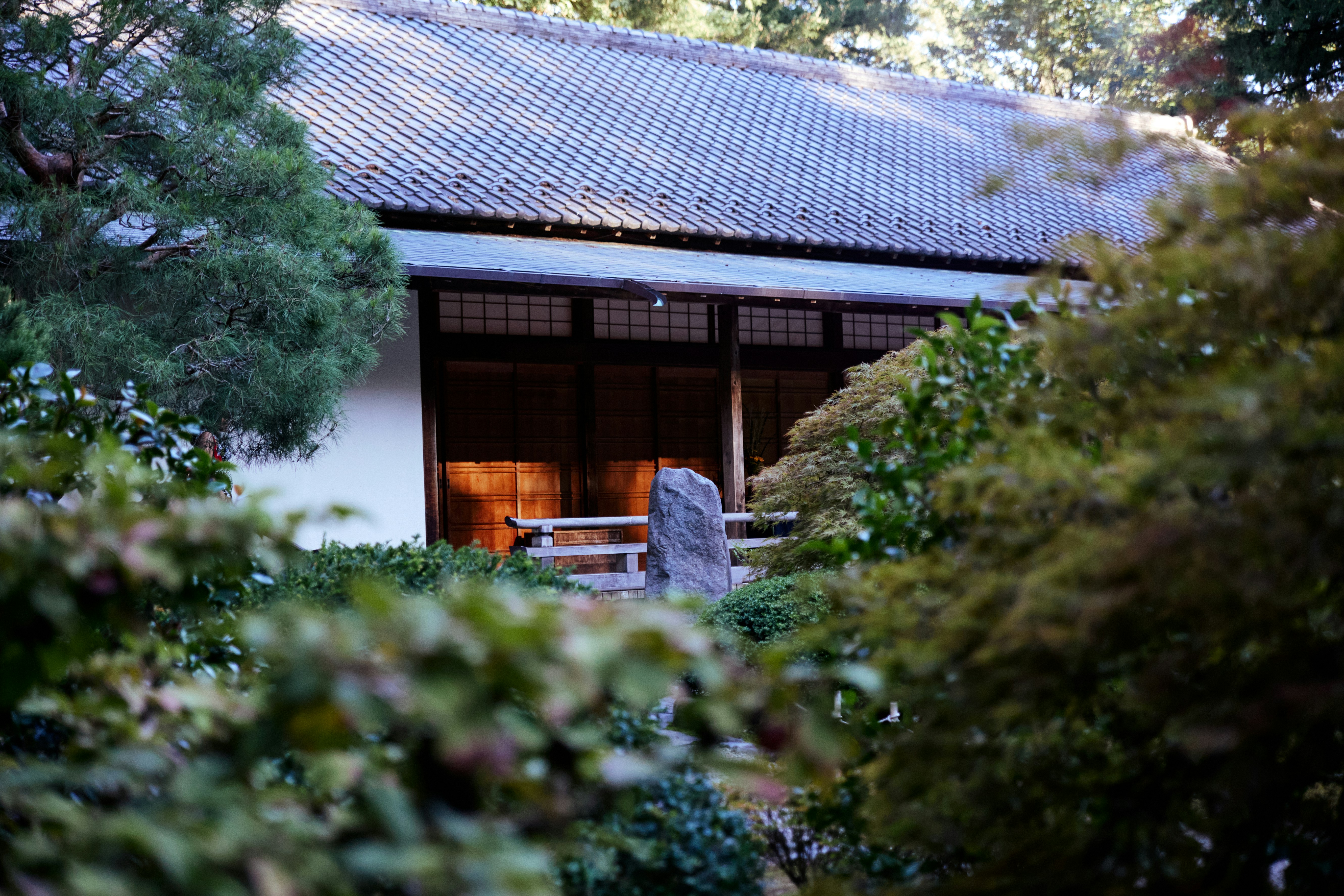 Photo by skyfly_rich