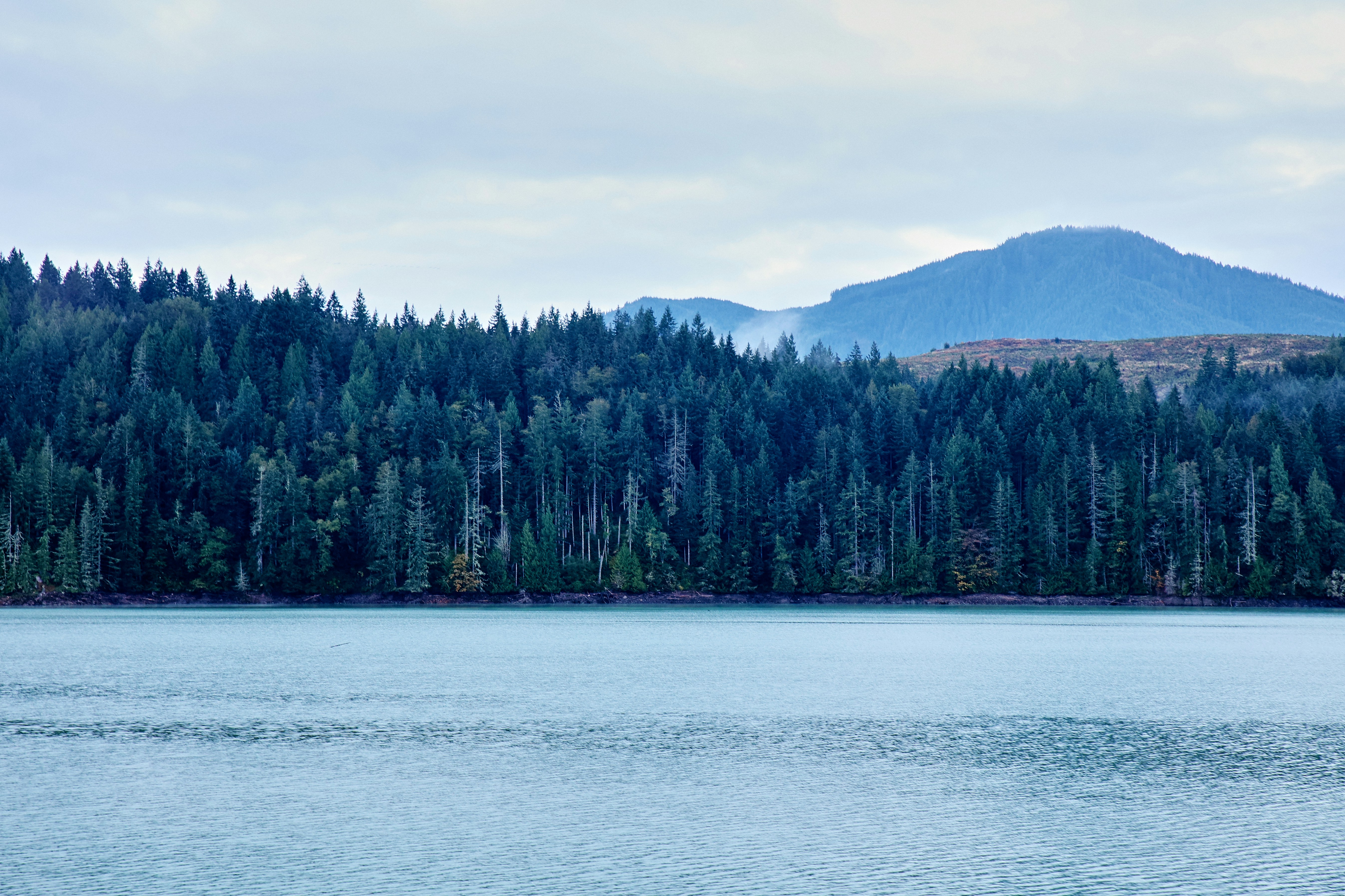 A body of water with a mountain in the background