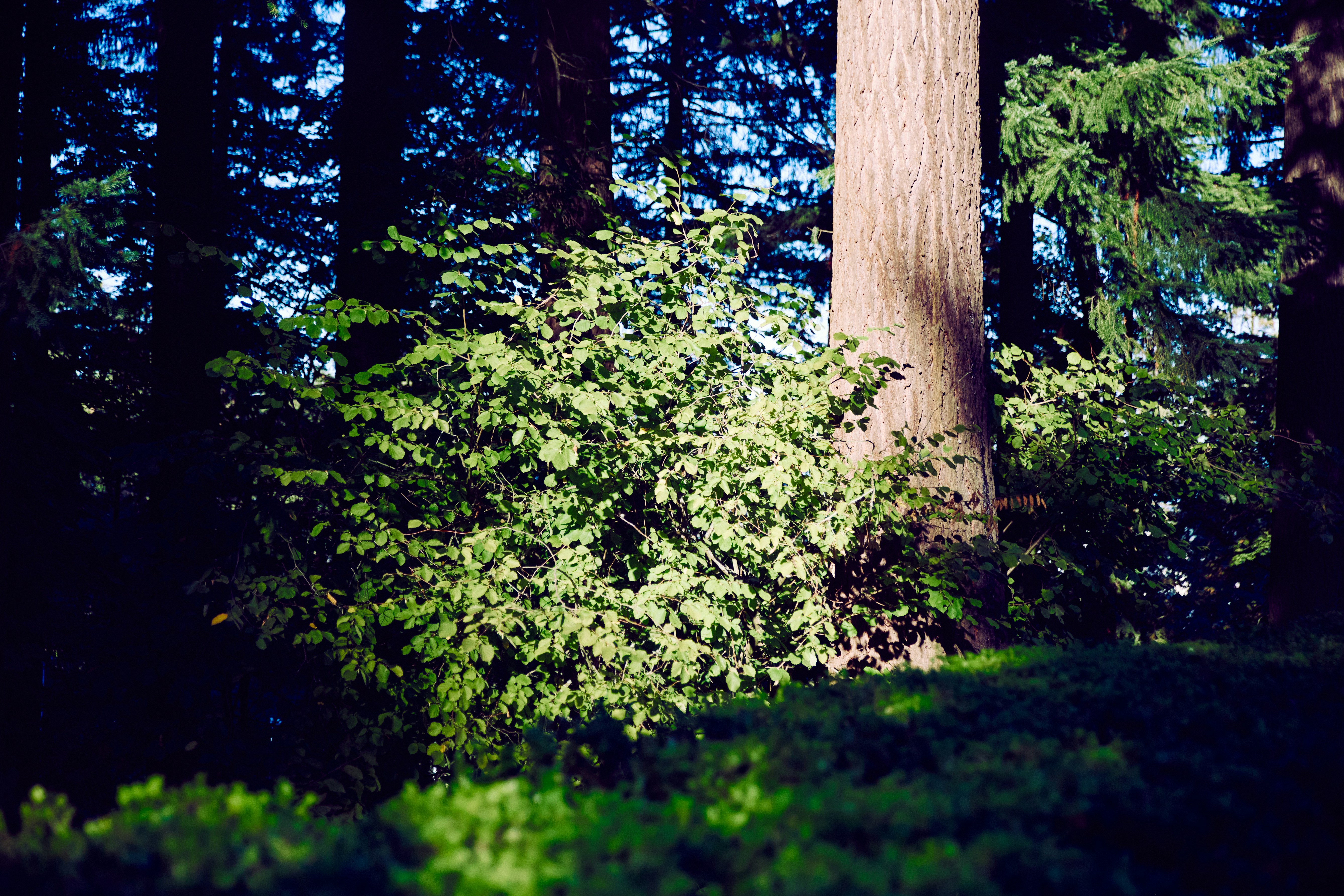 Photo by skyfly_rich