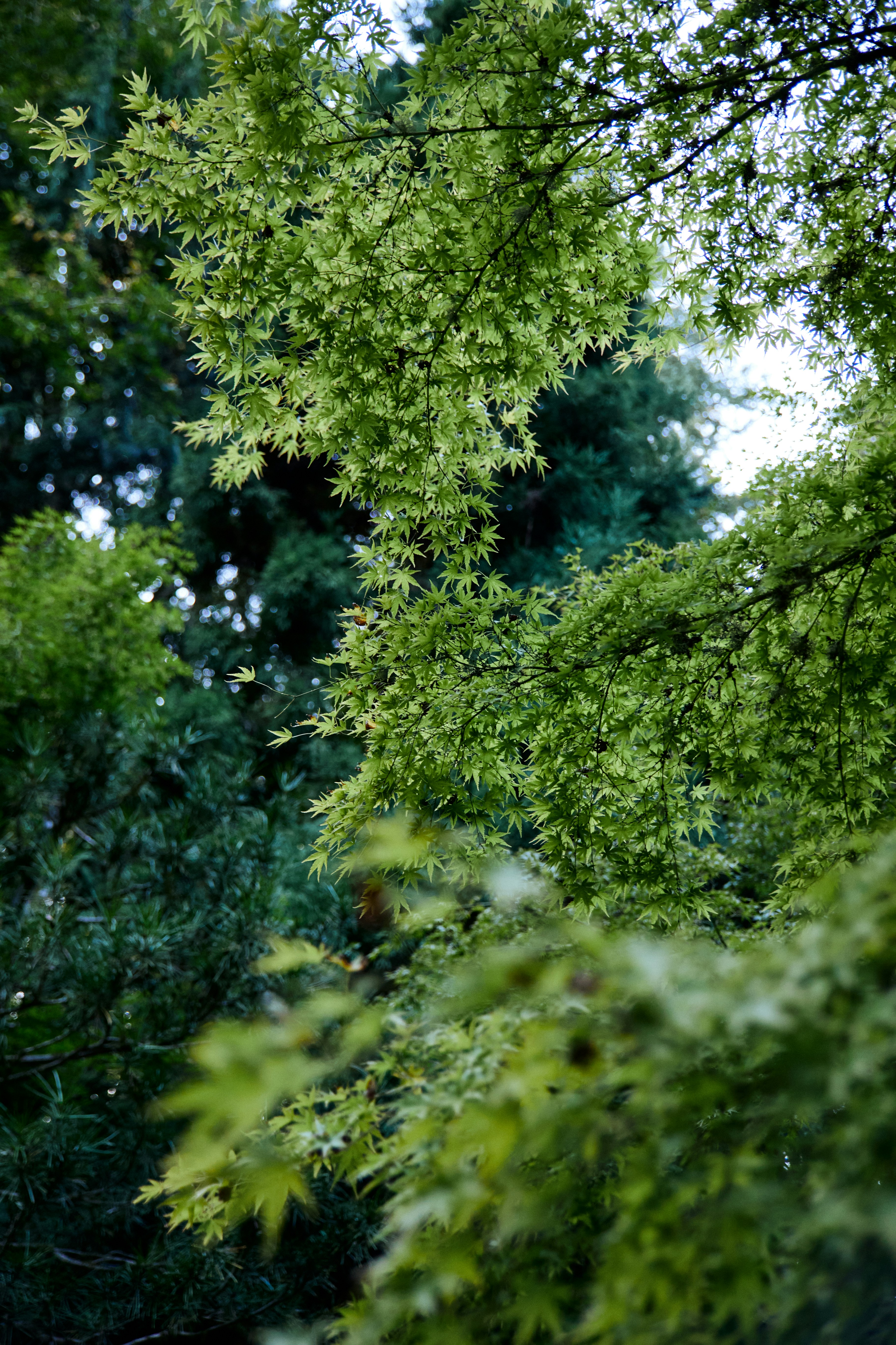 Photo by skyfly_rich