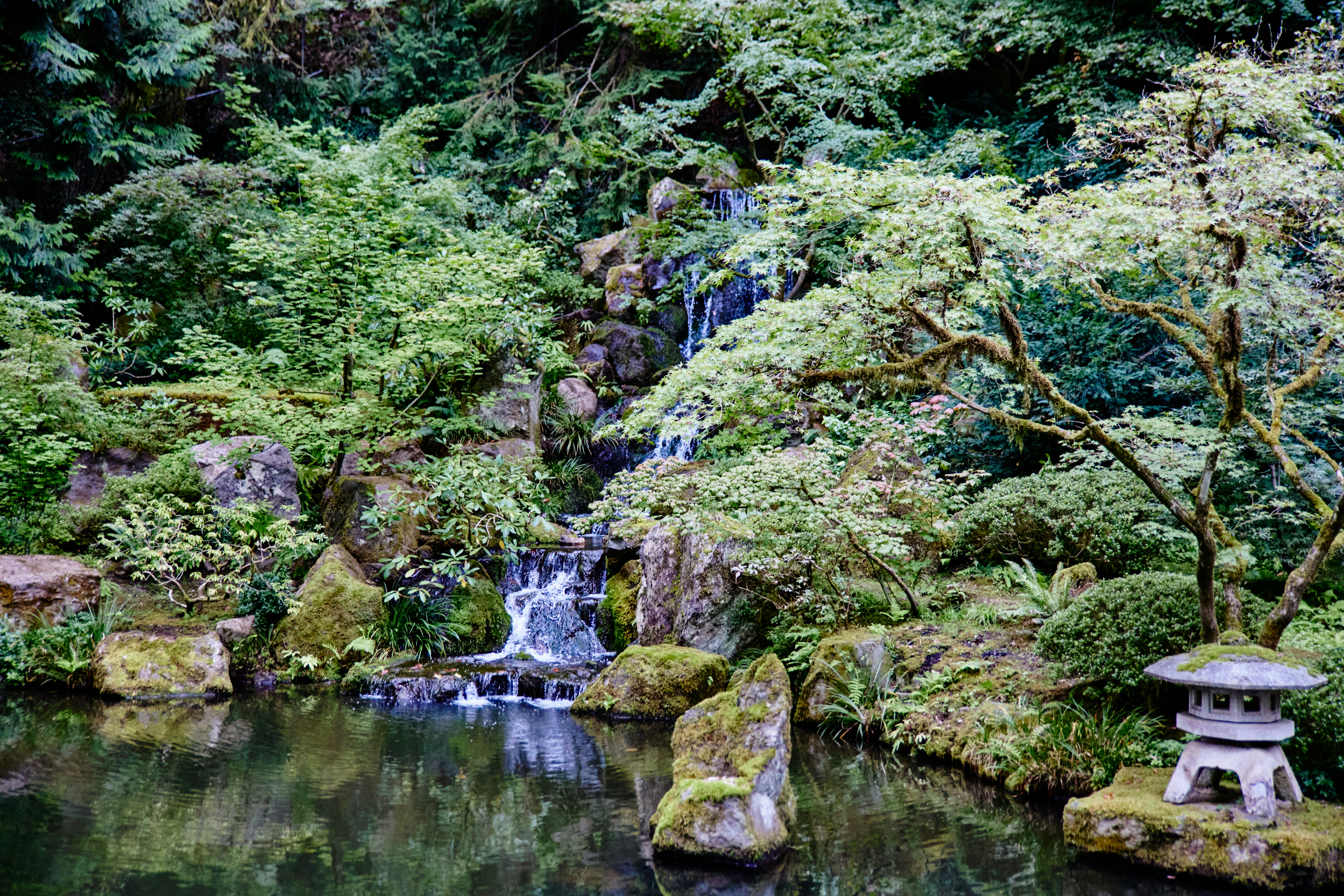 Portland's Japanese Garden. Photo by Richard Lu/Unsplash