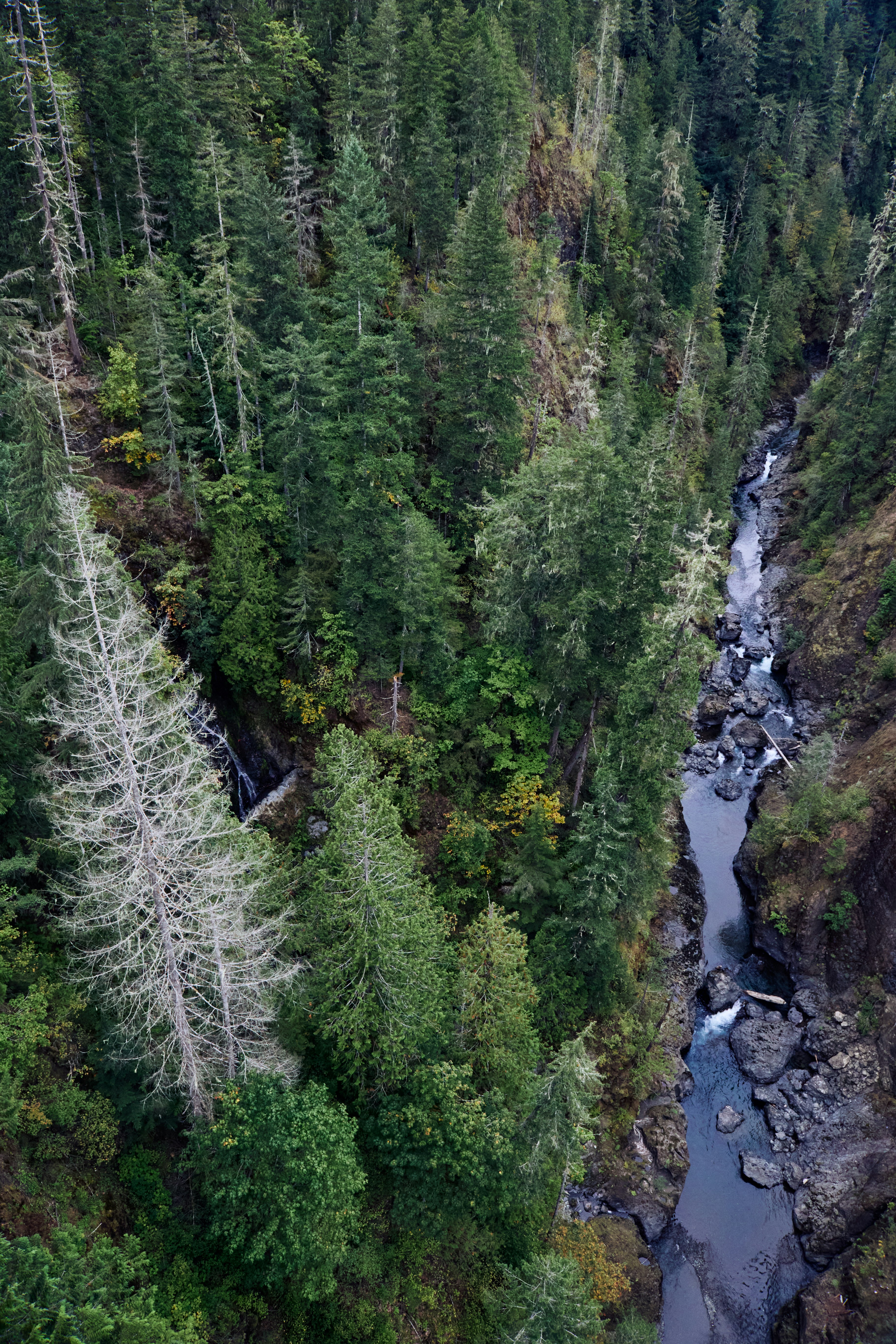 Photo by skyfly_rich