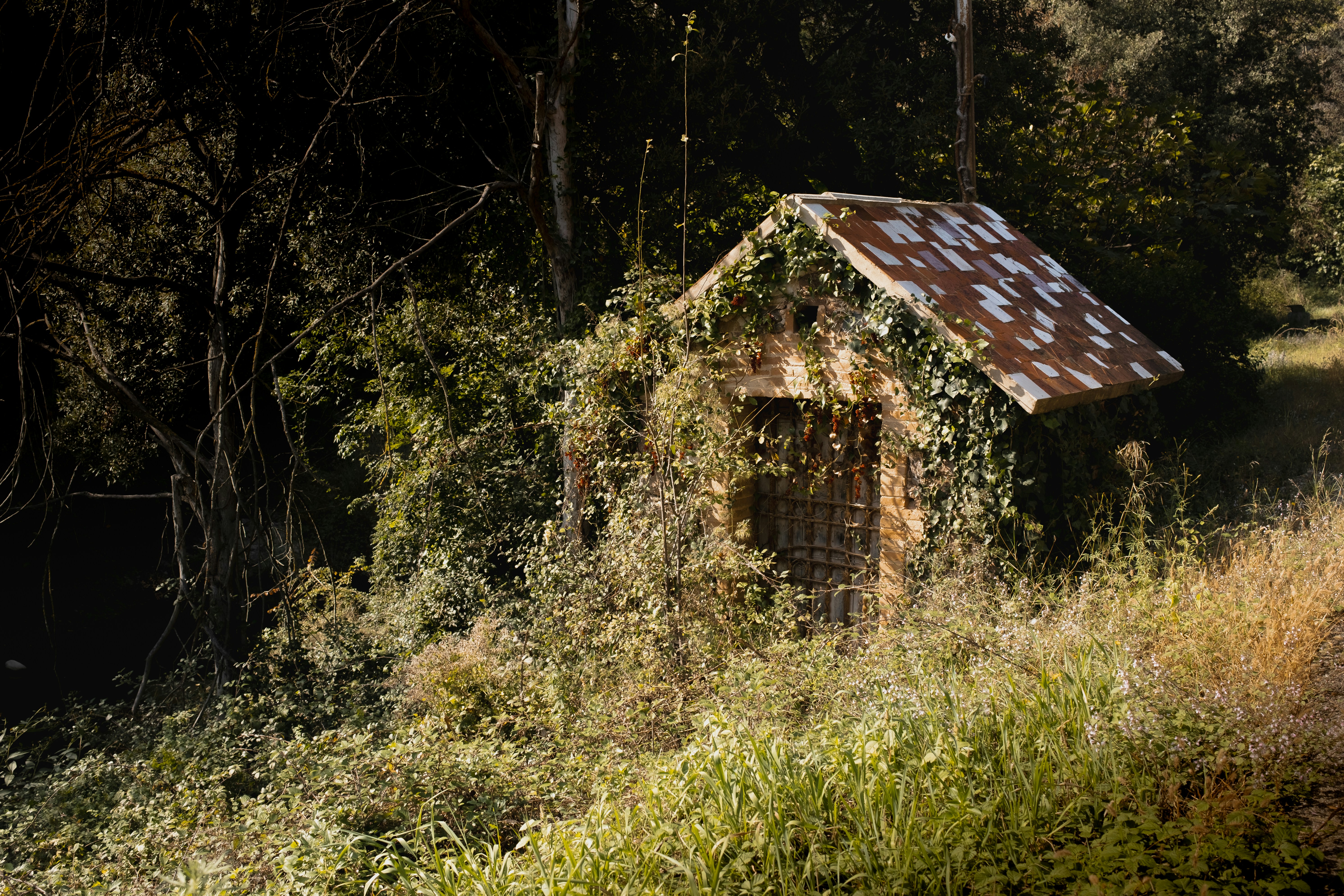 Photo by lauraespana