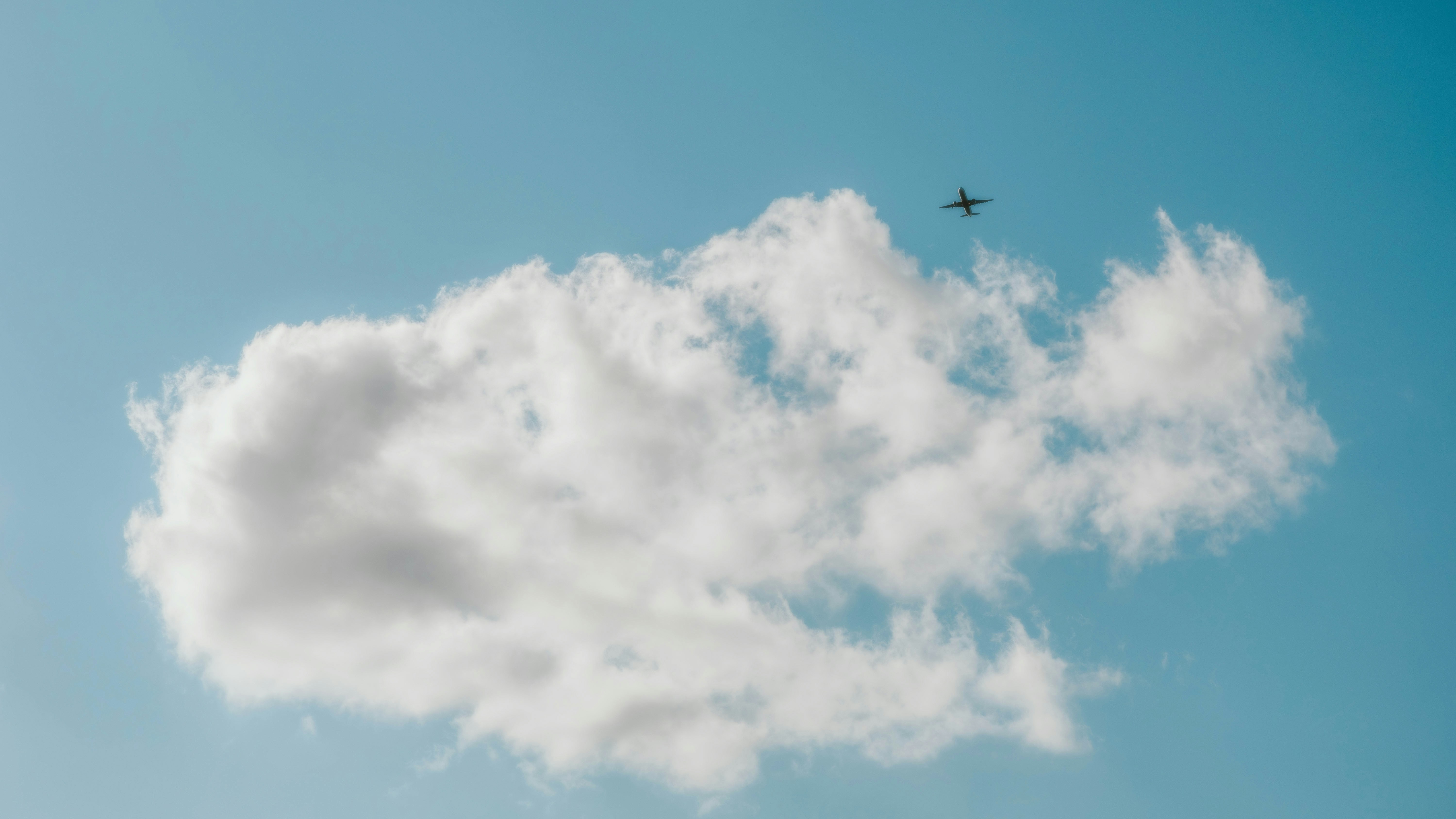 Photo by alingavriliuc