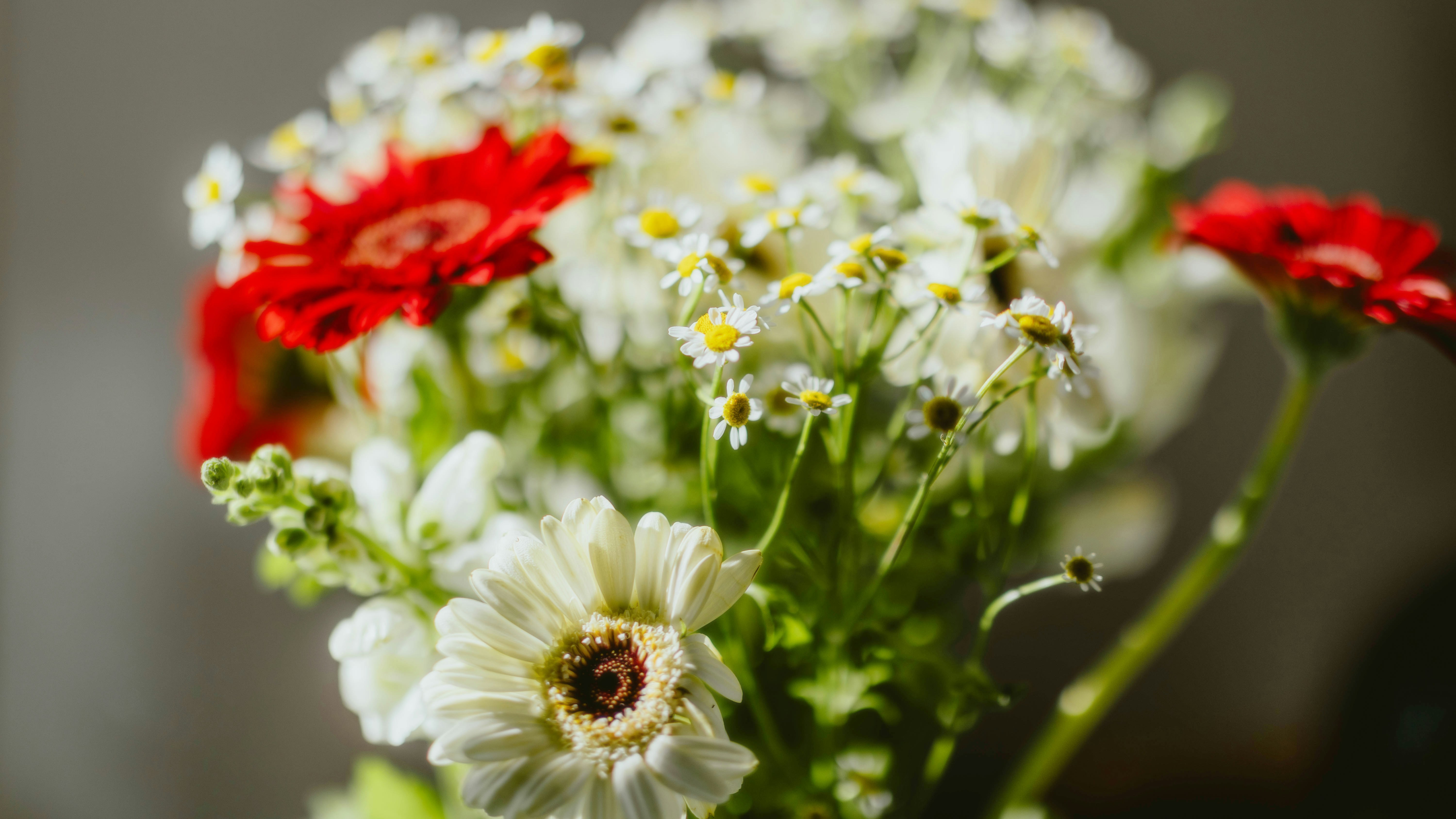 Photo by alingavriliuc