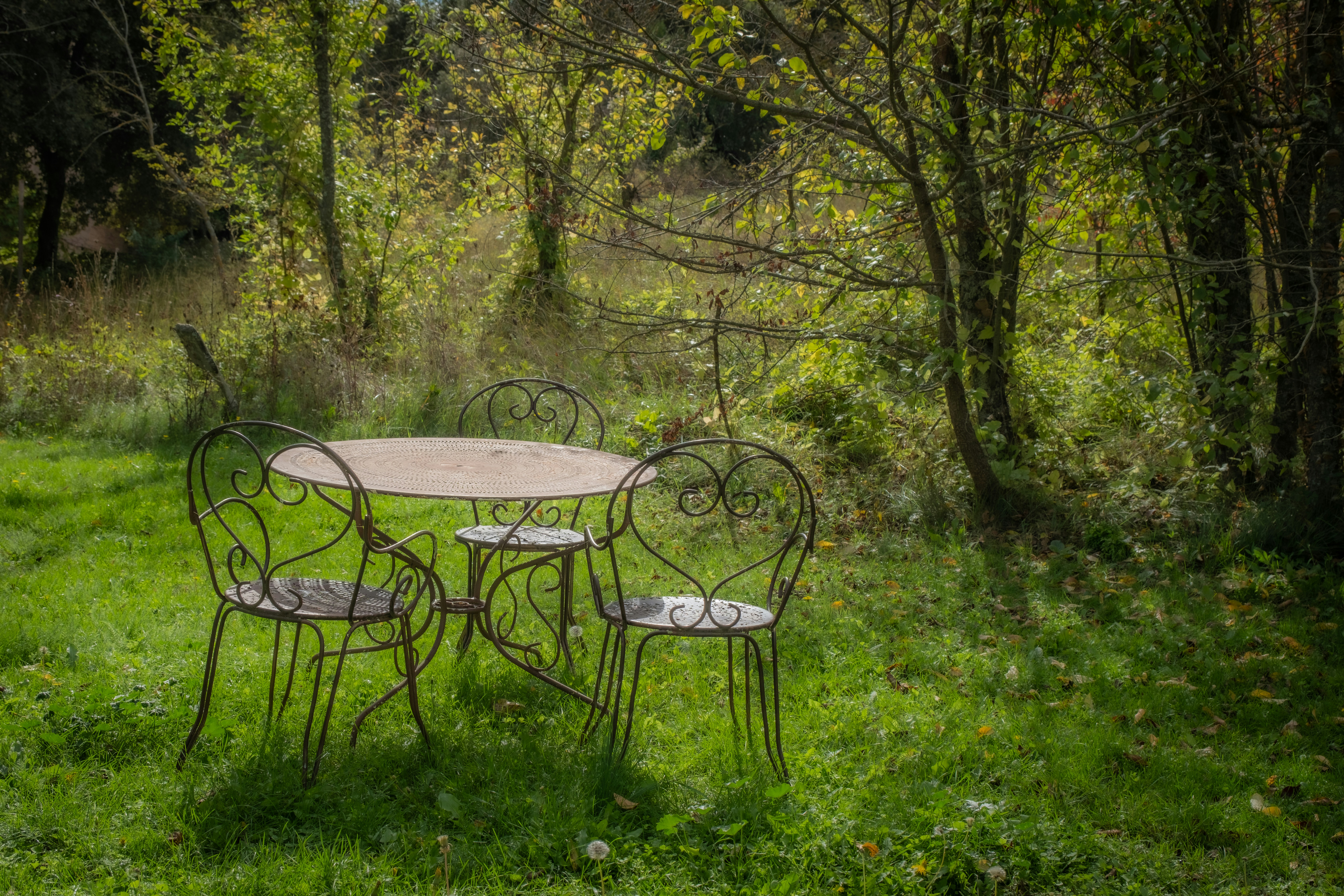 A table and chairs in a French garden