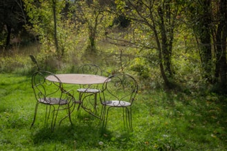 A table and chairs in a grassy area
