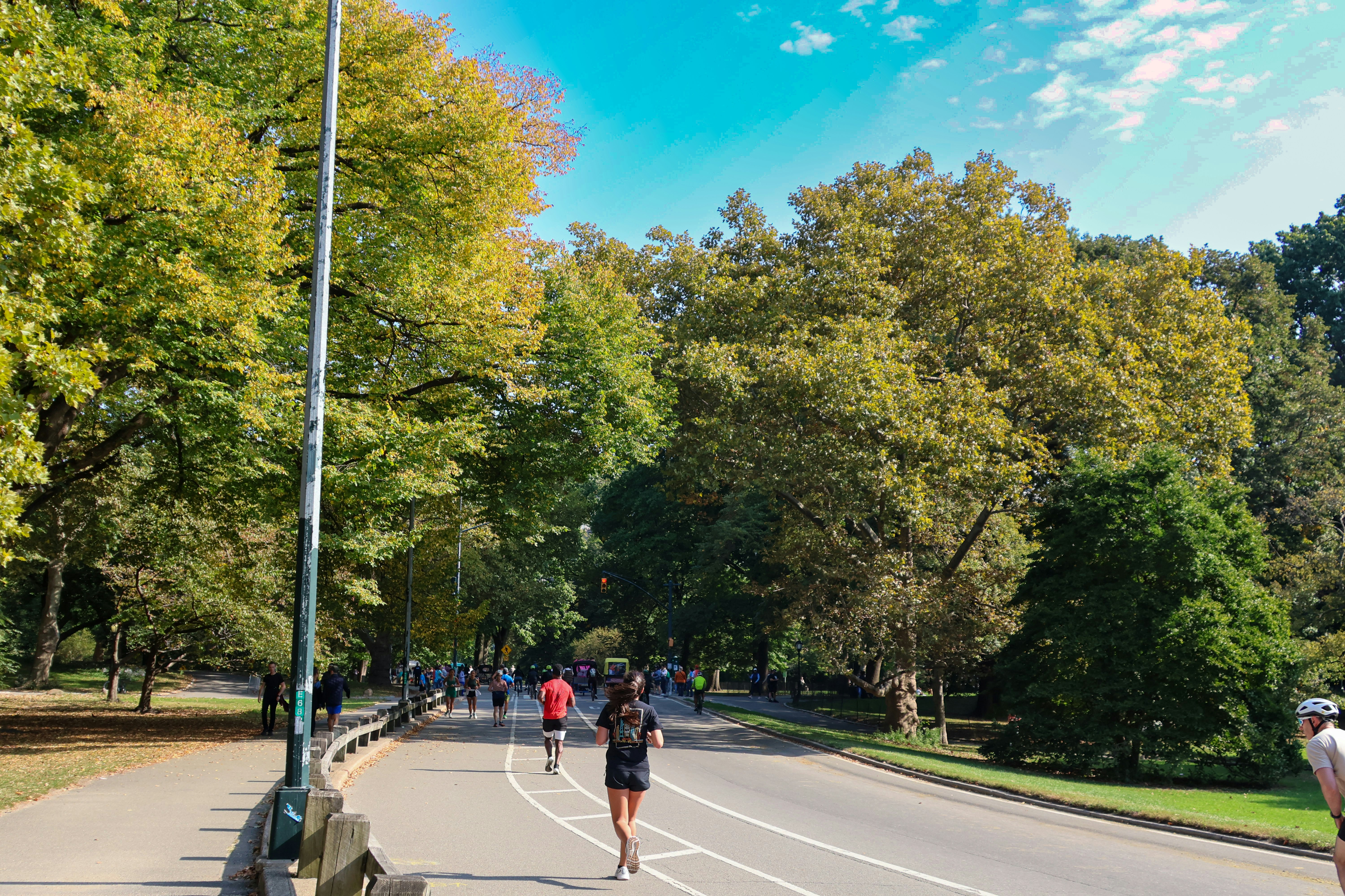 Group of runners jogging together in sunny park with trees and blue sky