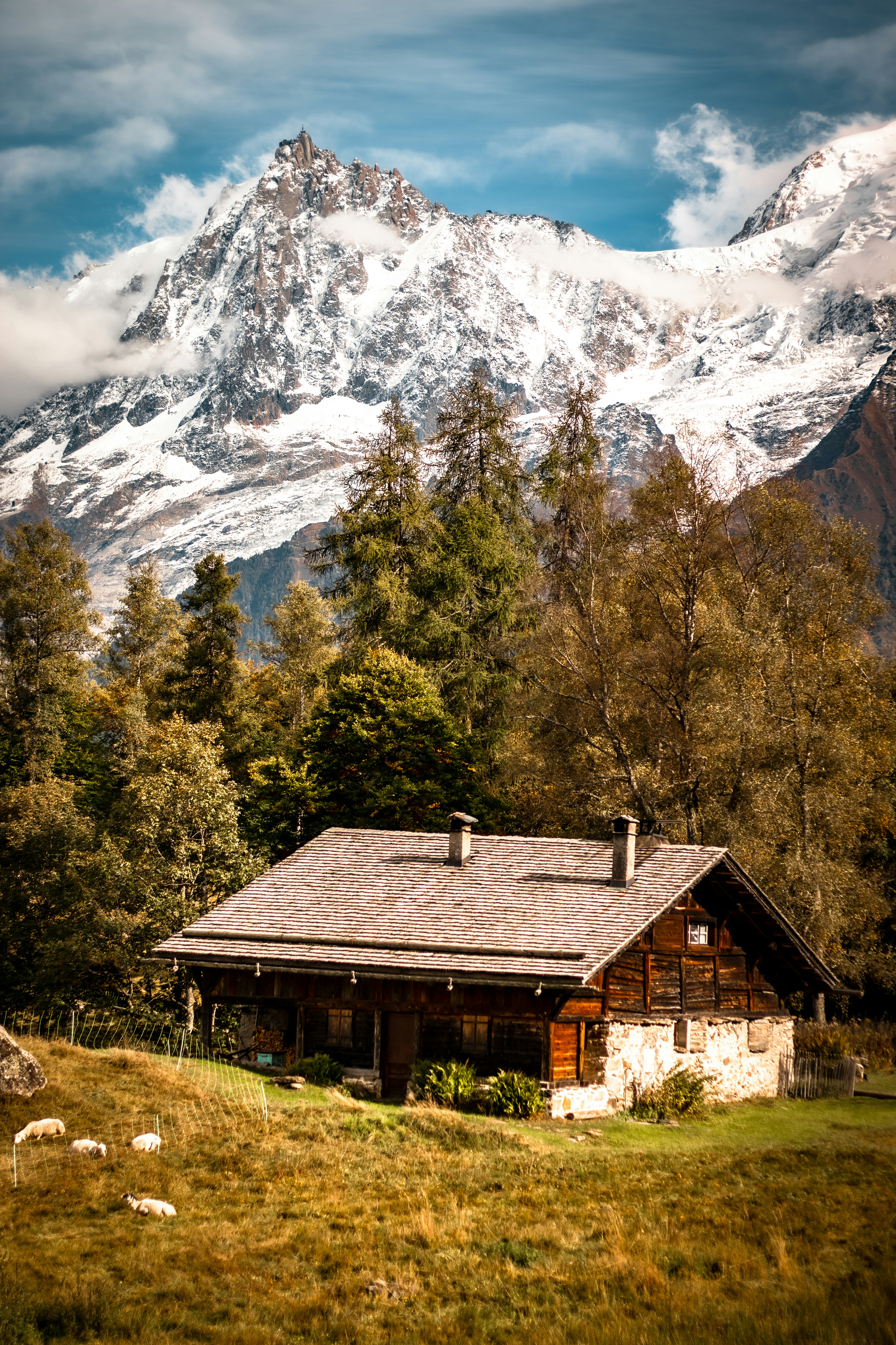 A cabin in a field with a mountain in the background