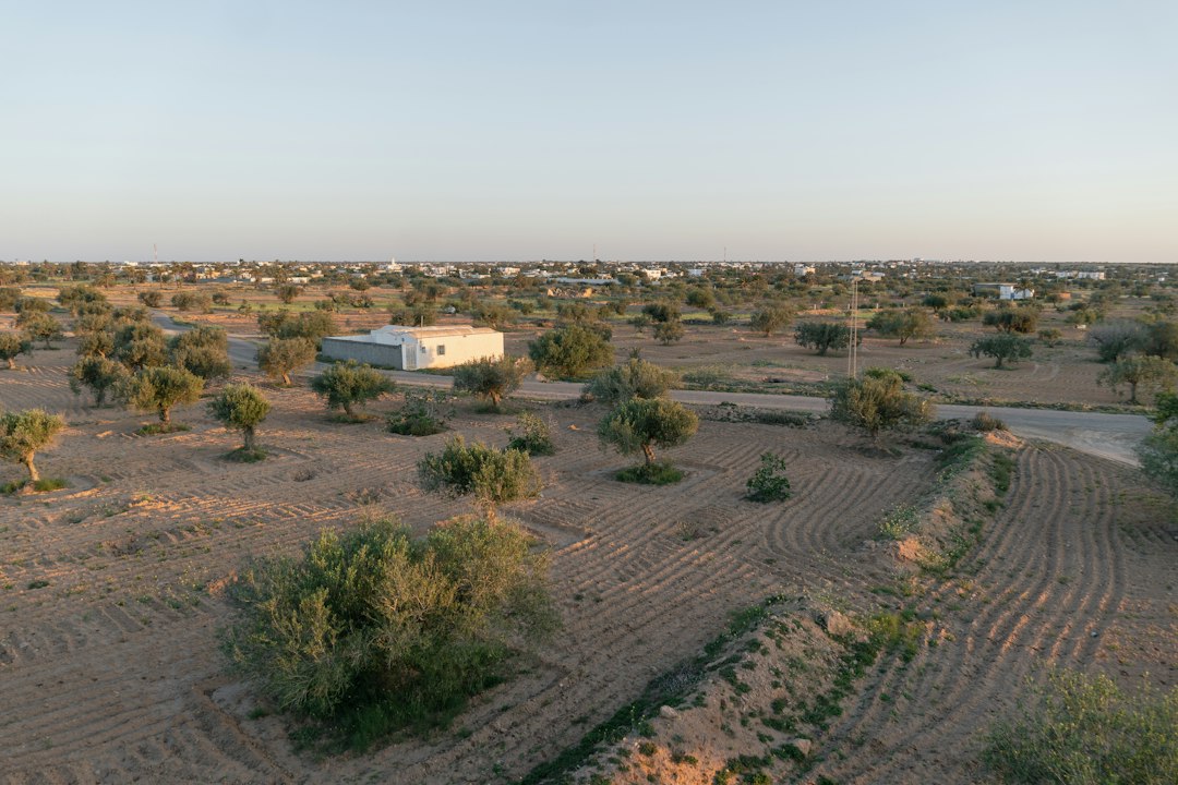 Djerba