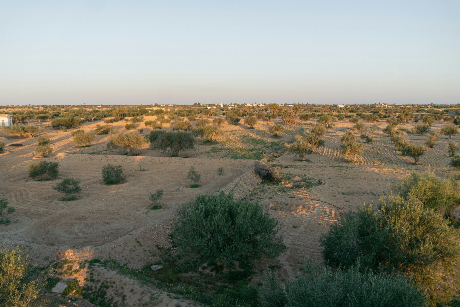 Aïn Draham & Nord-Ouest