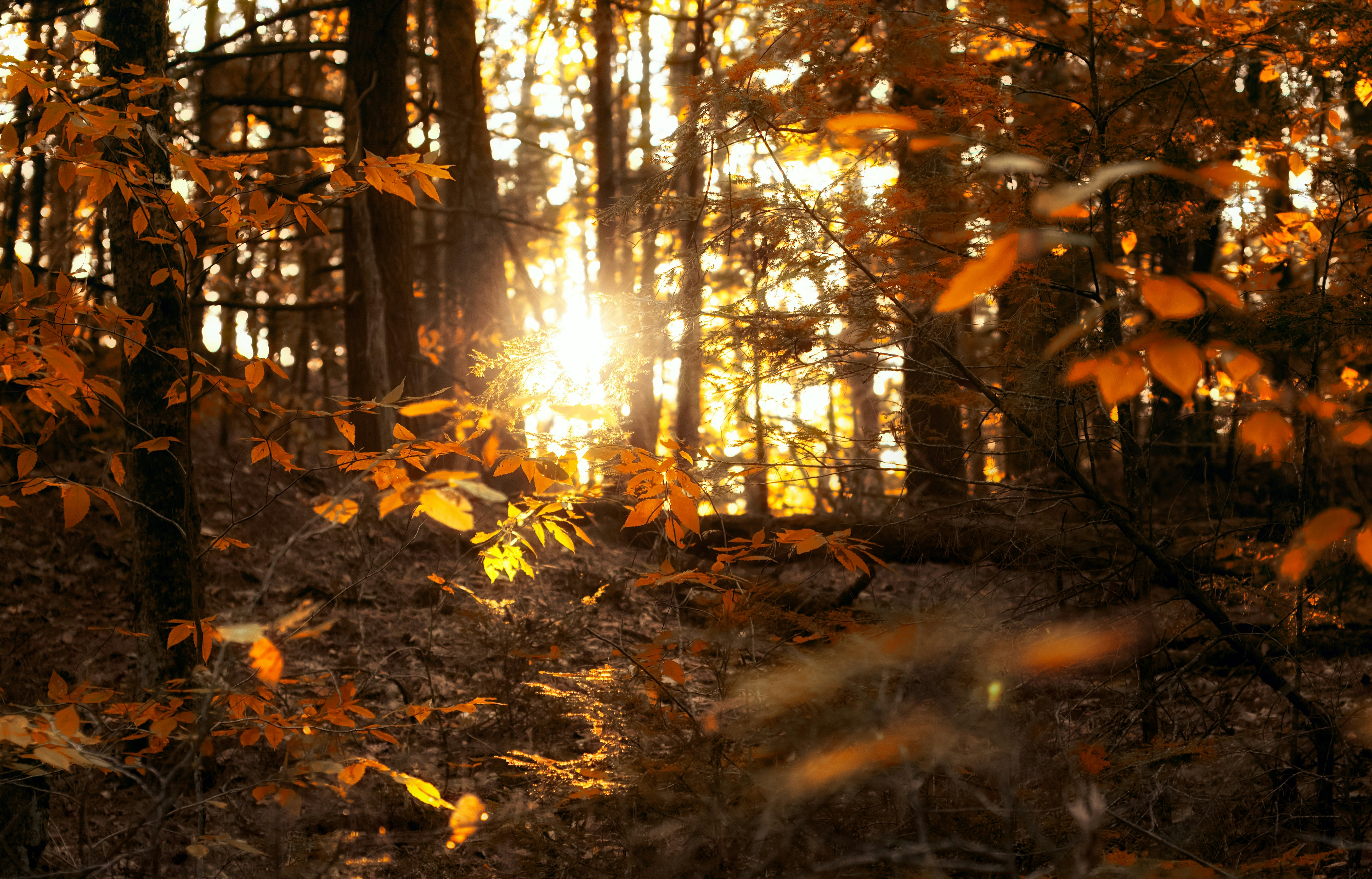 Photo by nh_landscapes