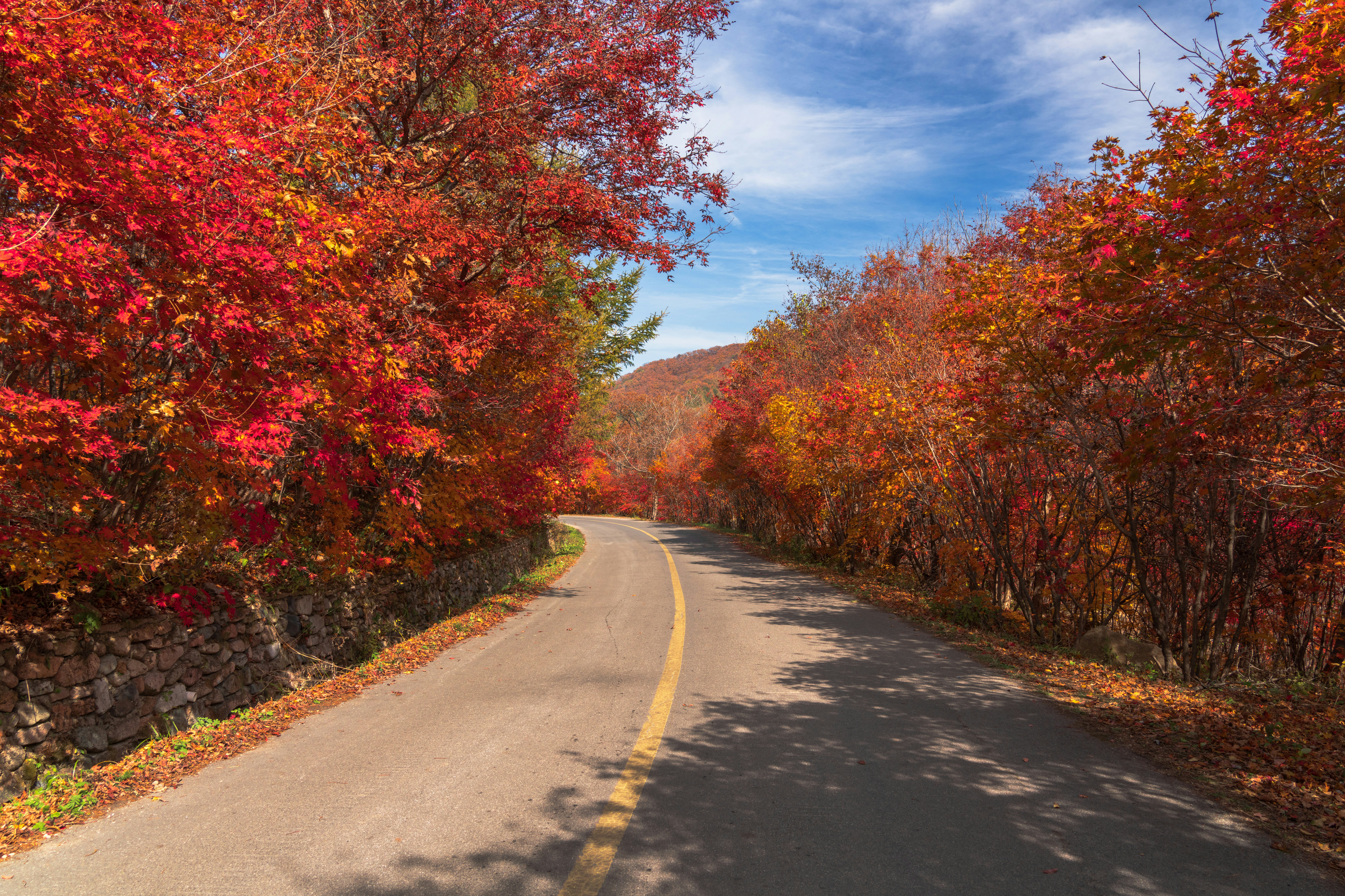 Photo by hattrick1996