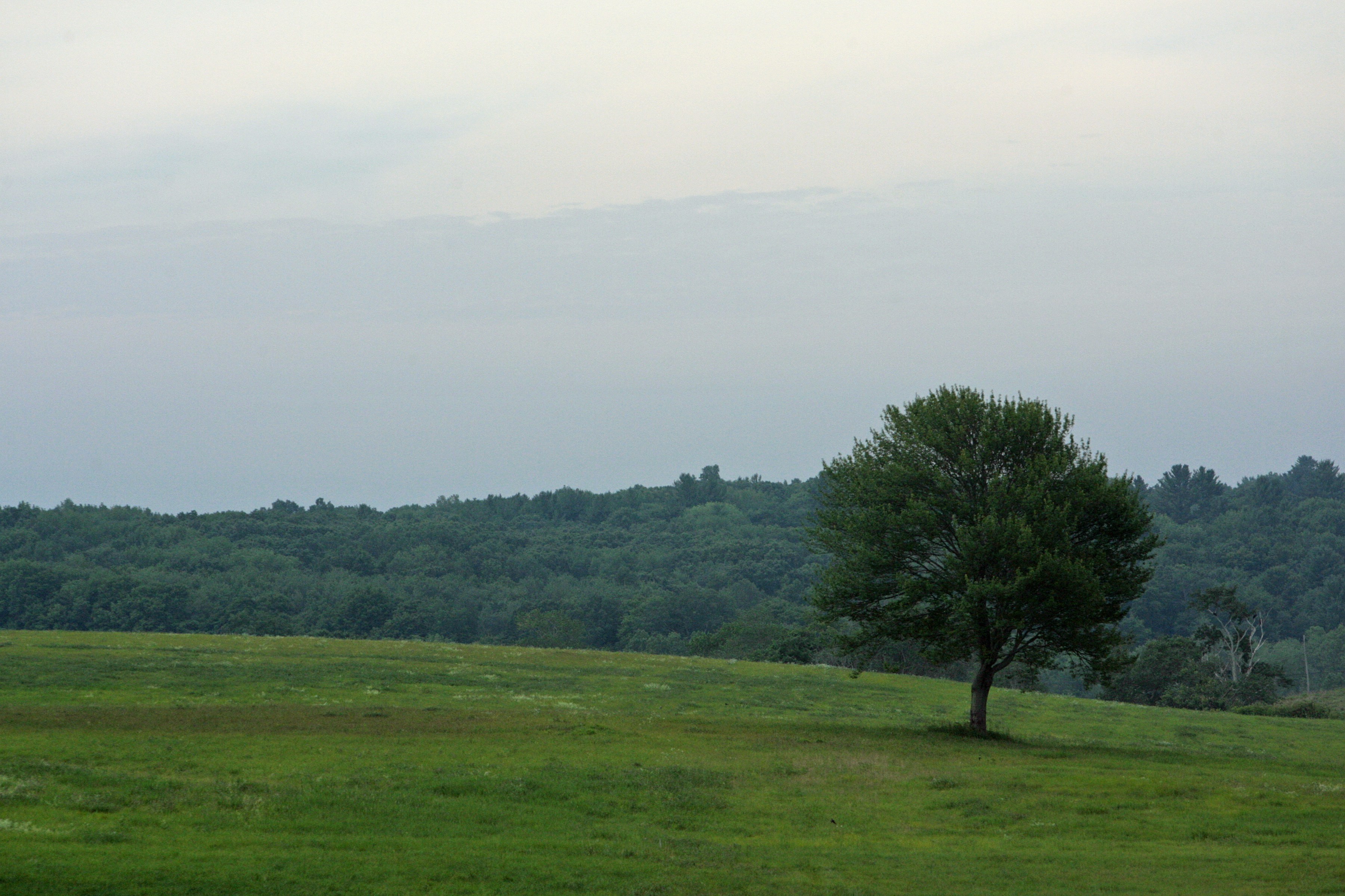 Trivia nights in Coventry, United Kingdom