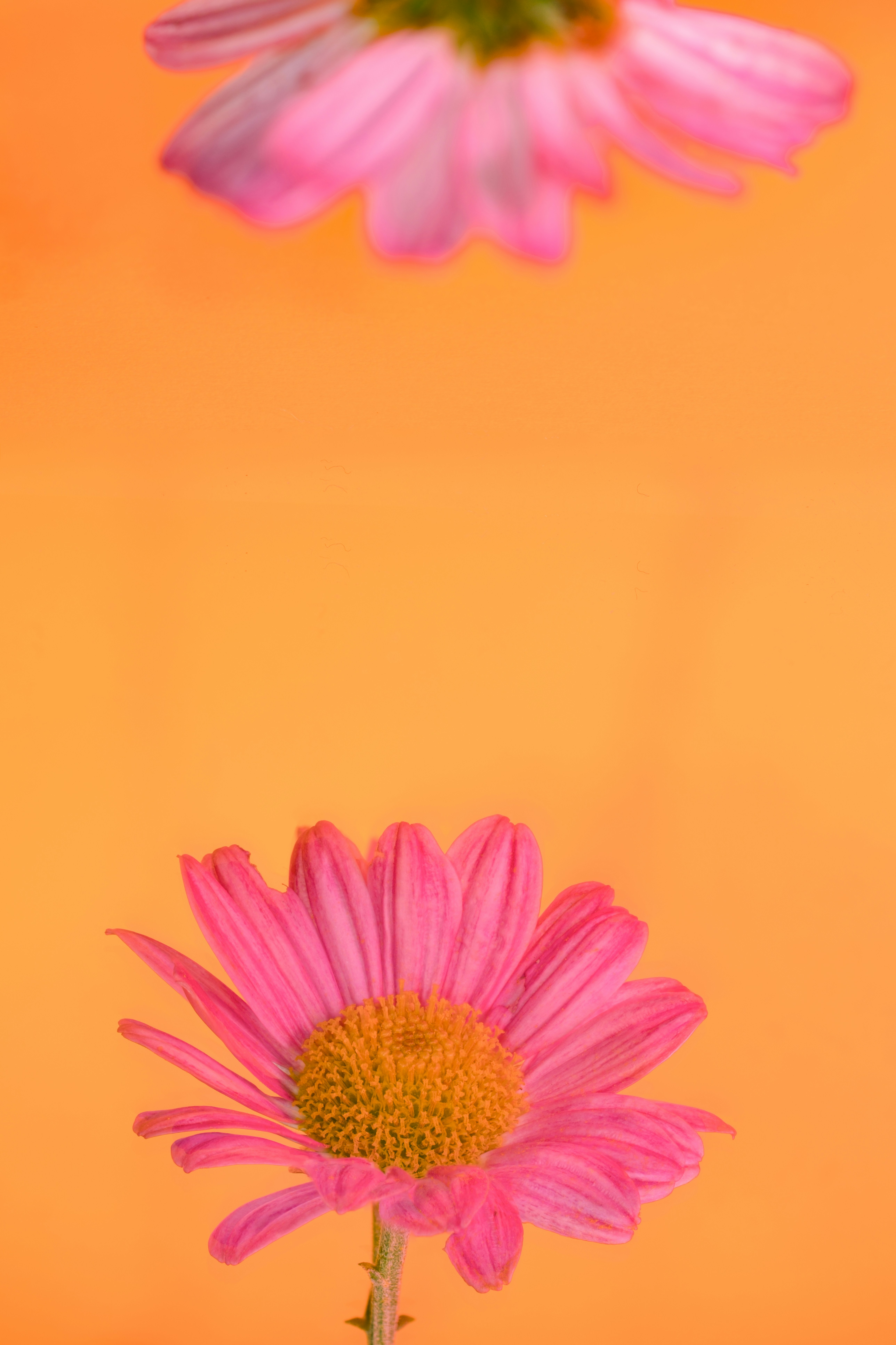 Photo by alexandredaoust