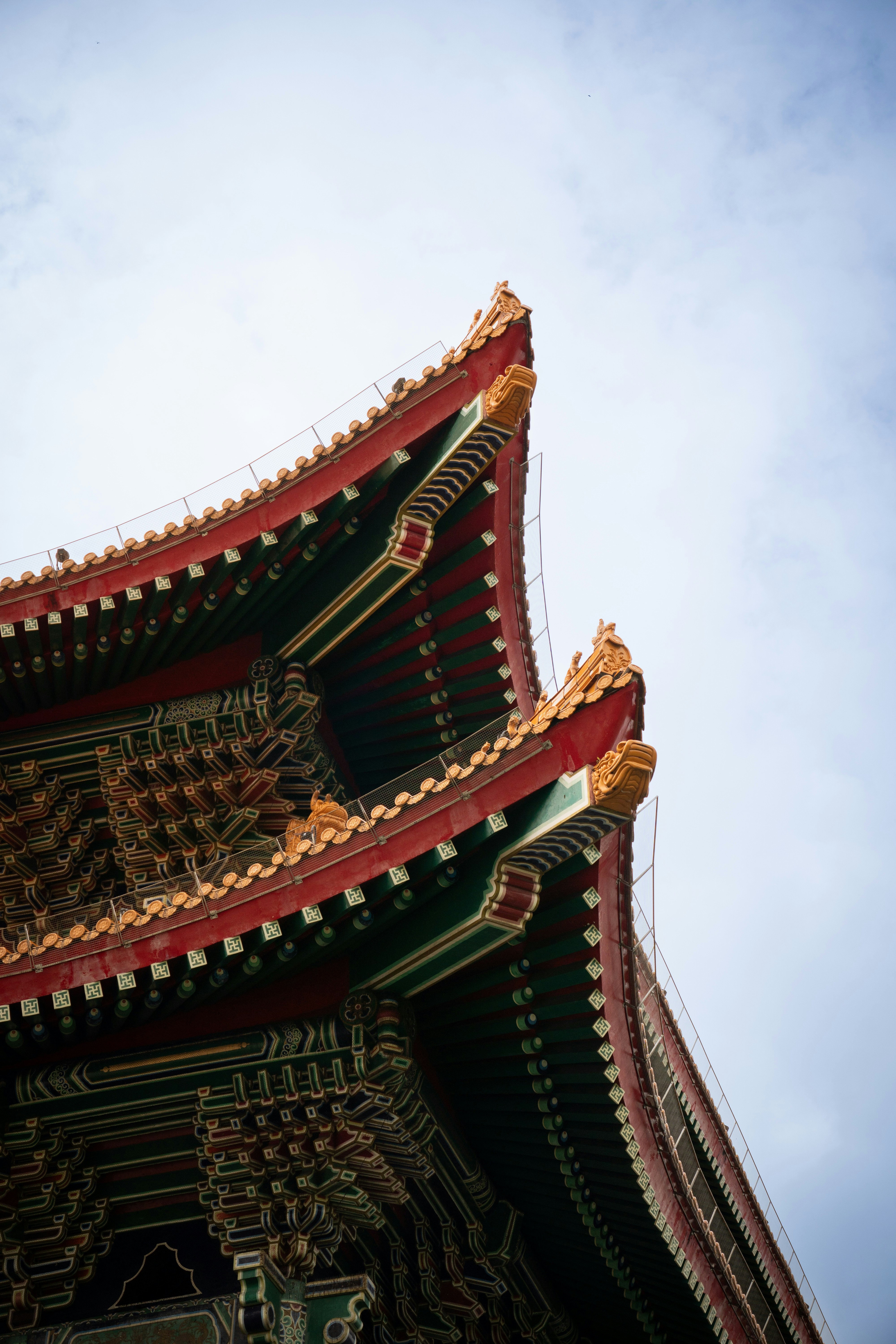 Photo by darren_limm