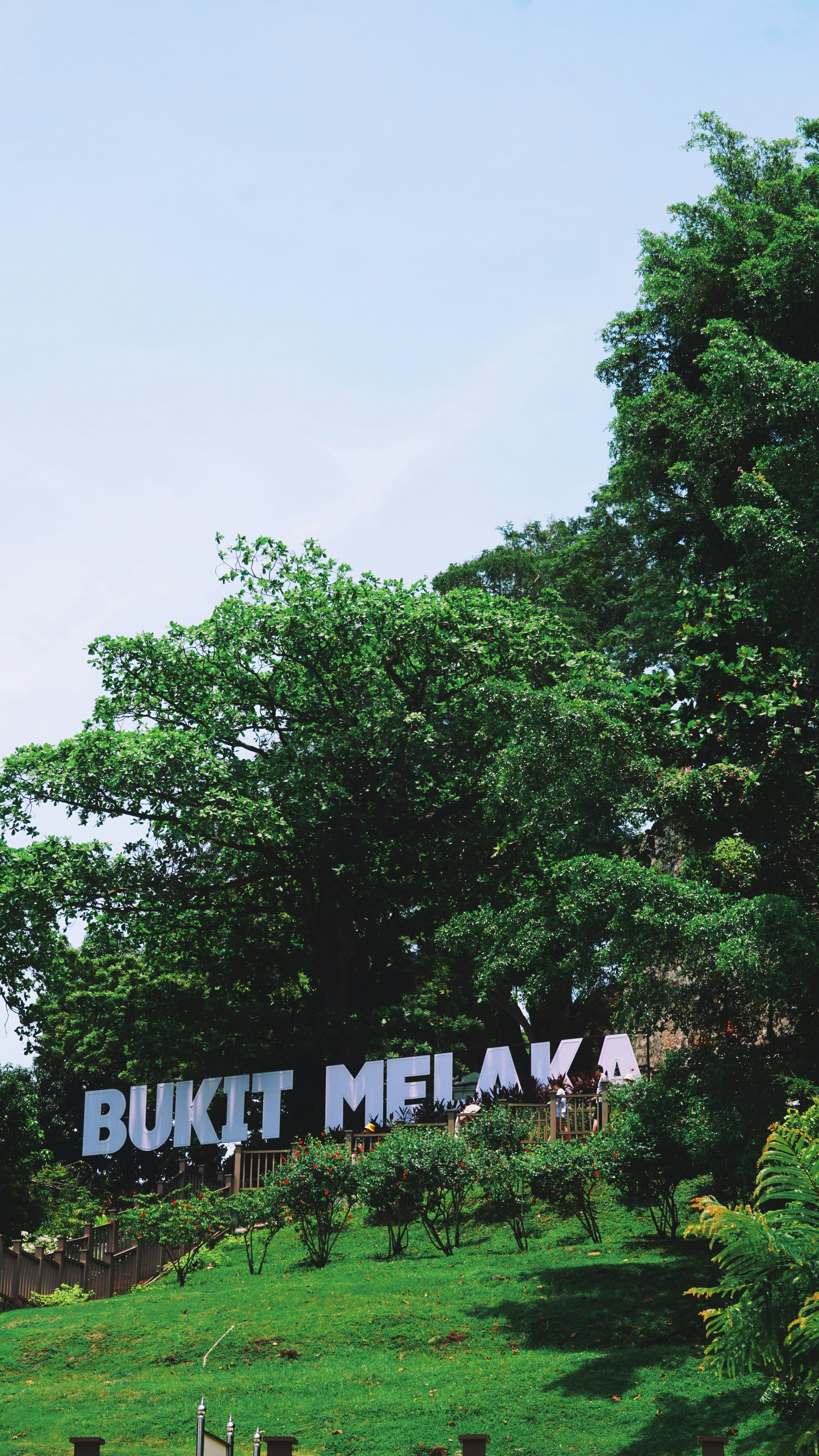 There is a sign that says bukt melak on it