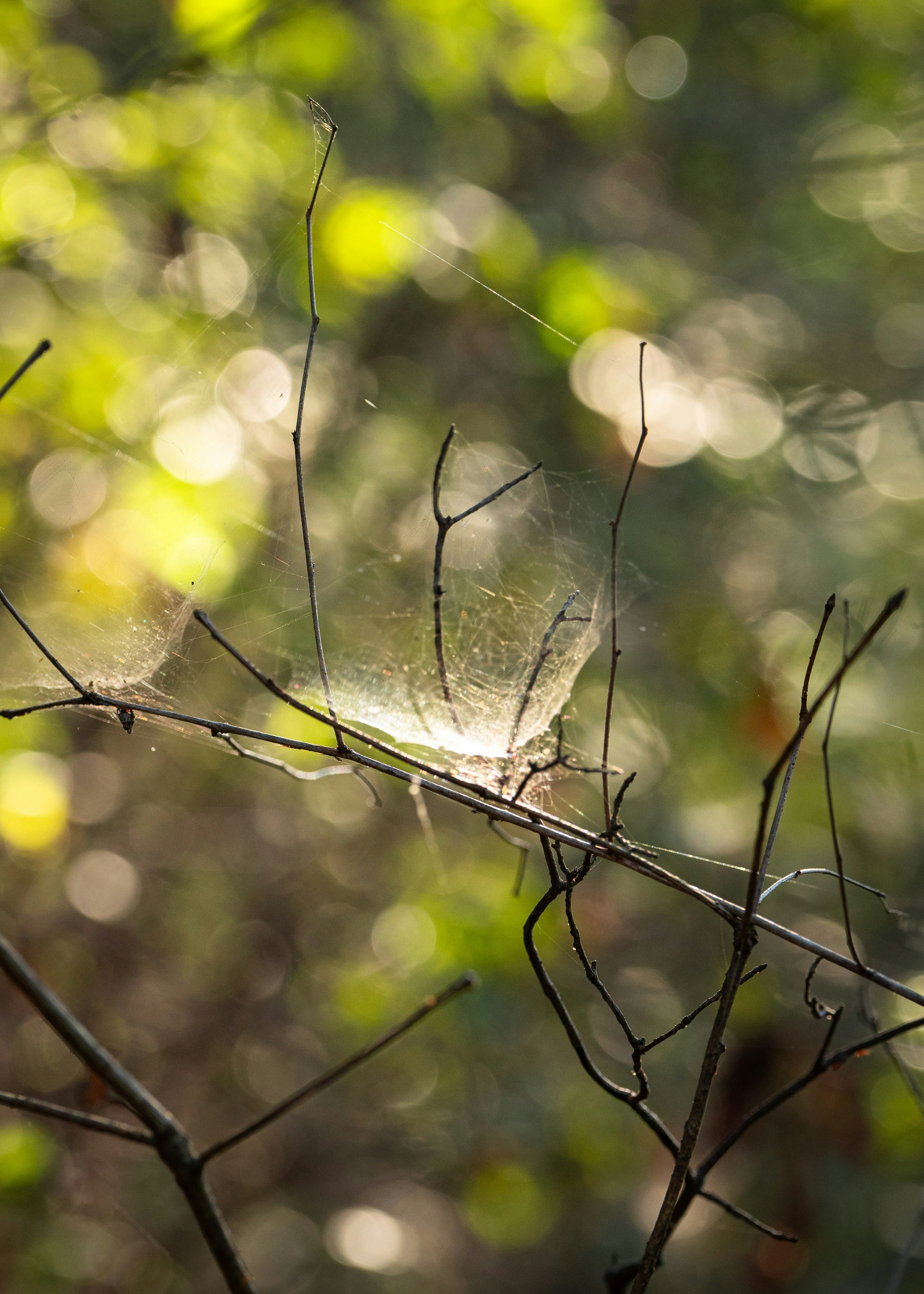 Photo by hyewonphotography