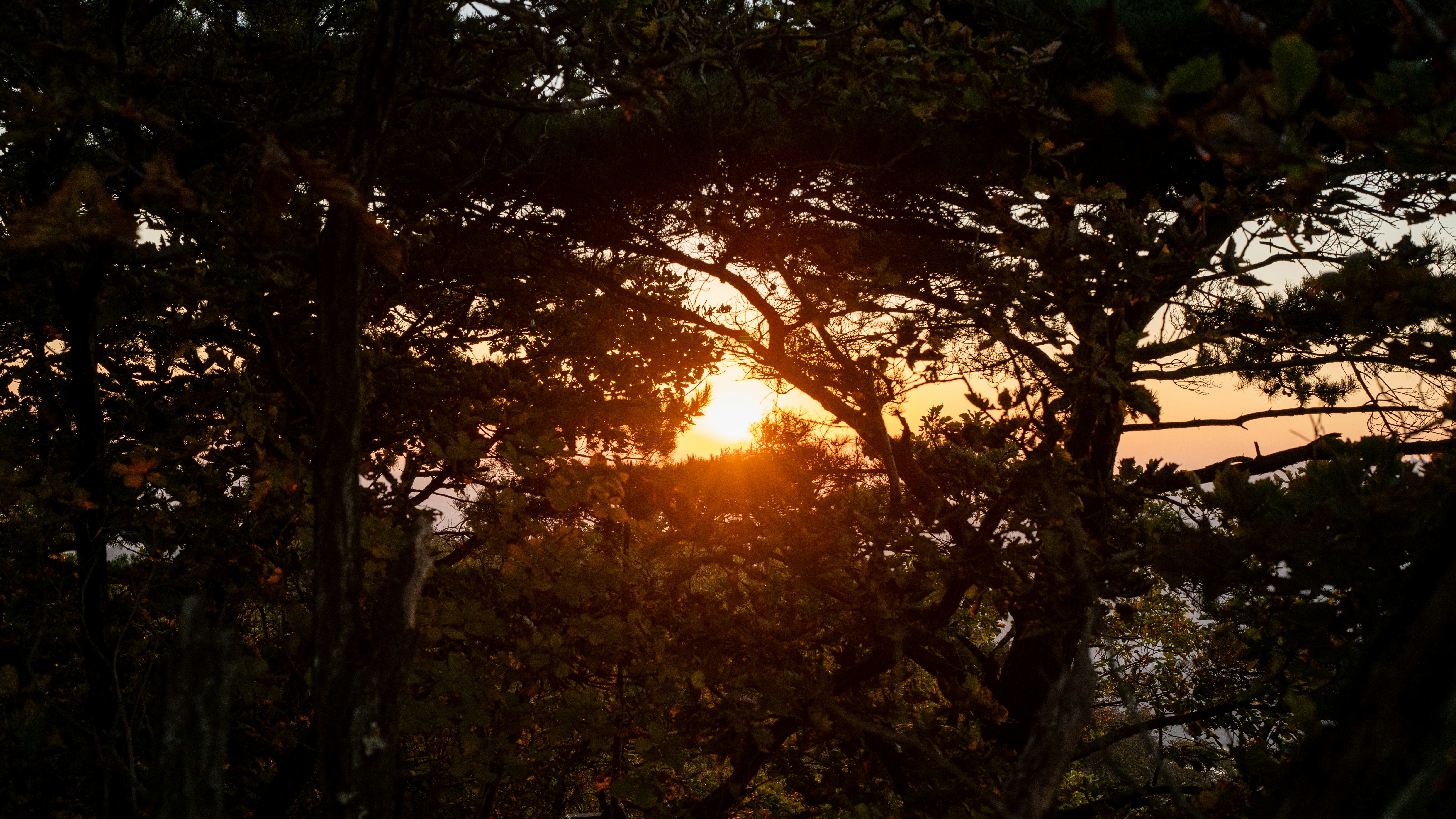 Photo by hyewonphotography