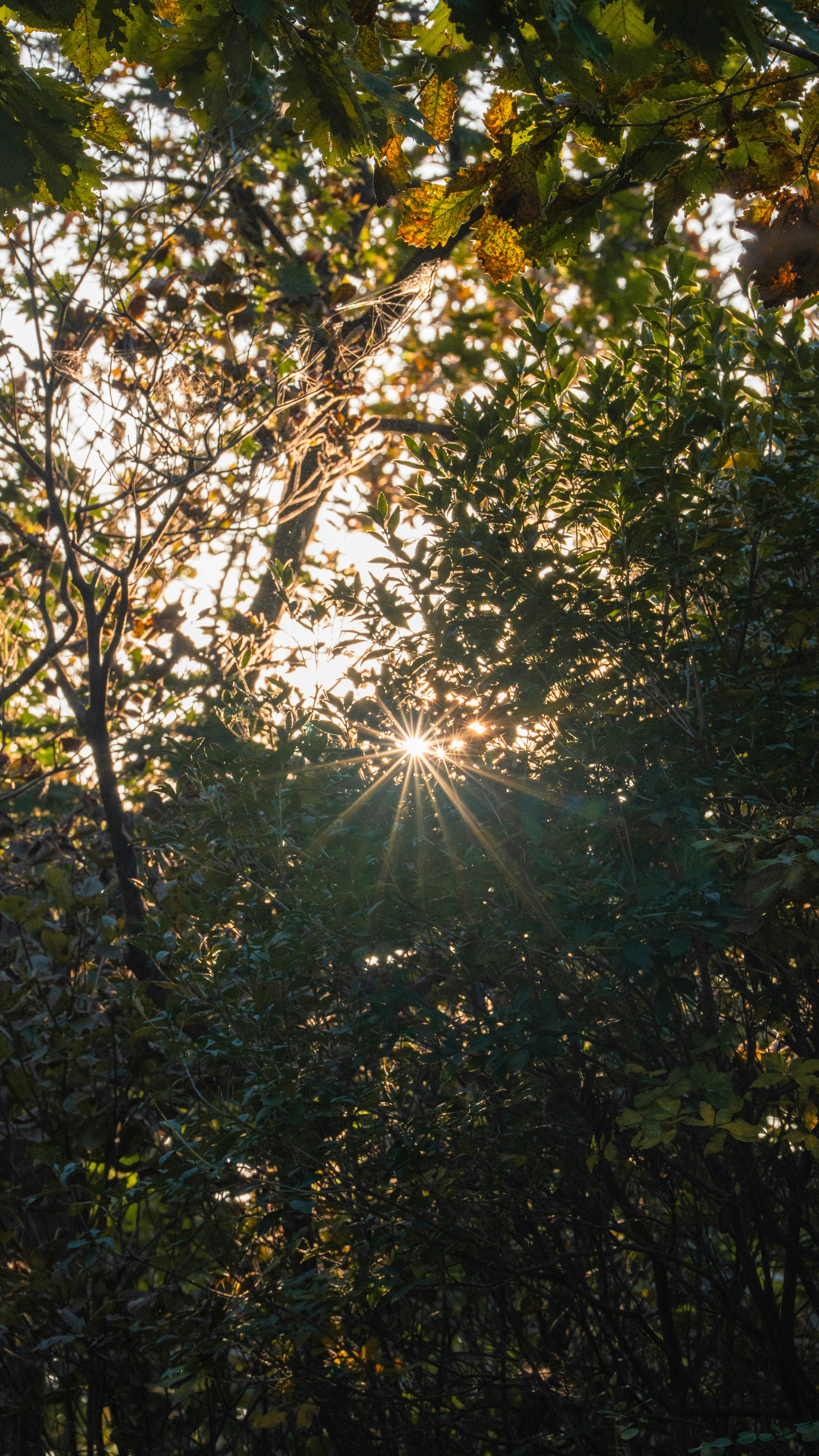 Photo by hyewonphotography