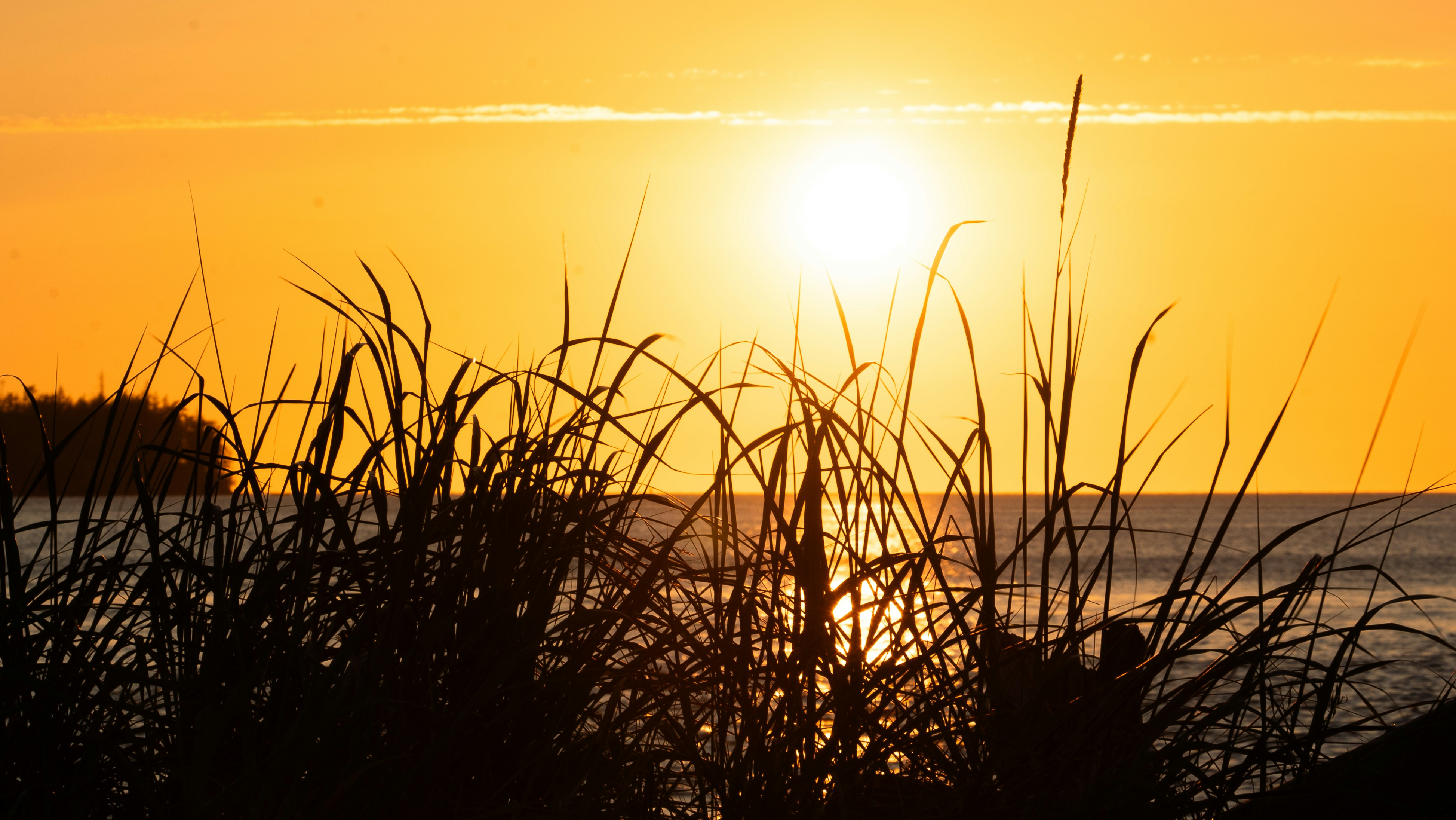 Photo by ghostdogg187