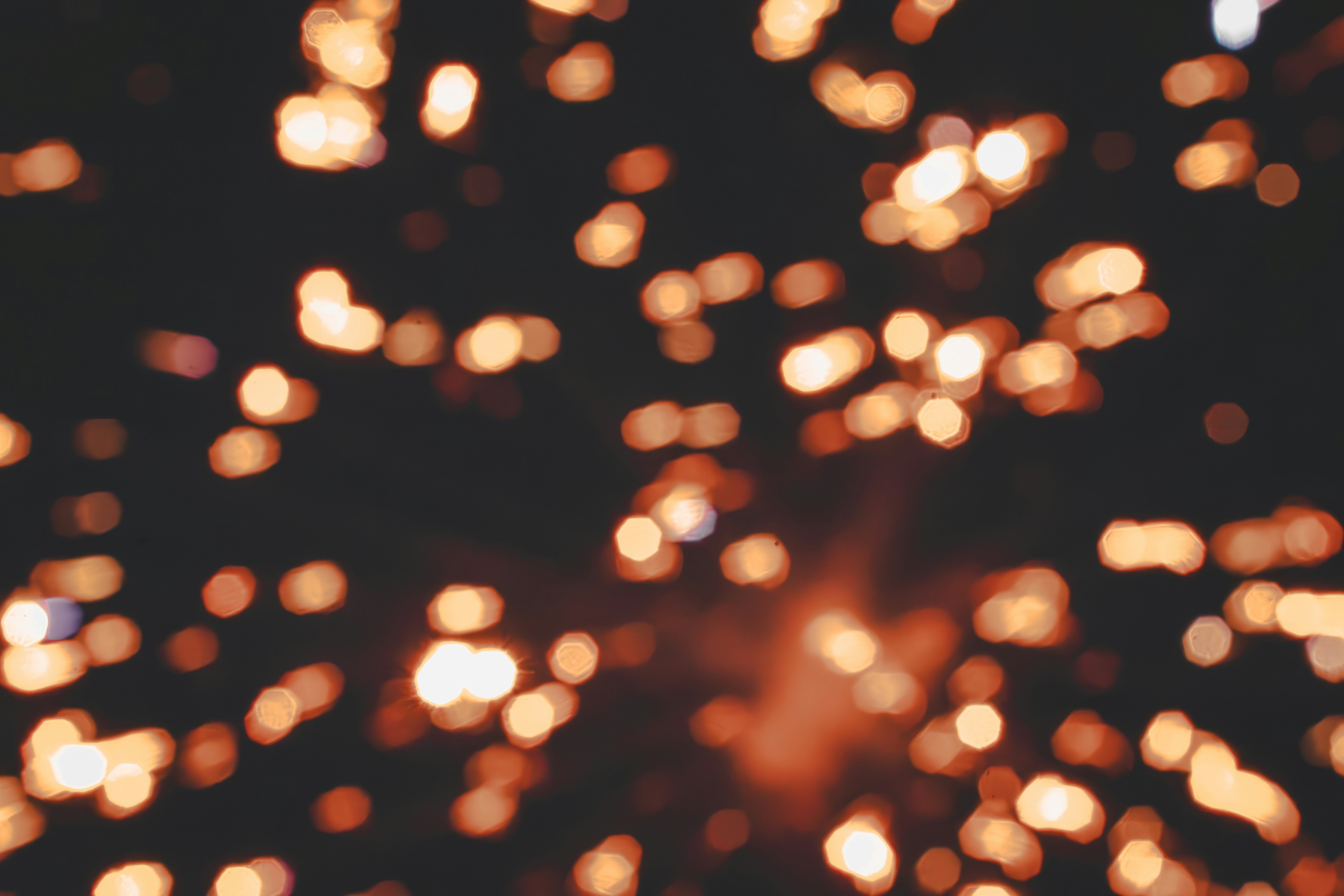 Photo by ghostdogg187