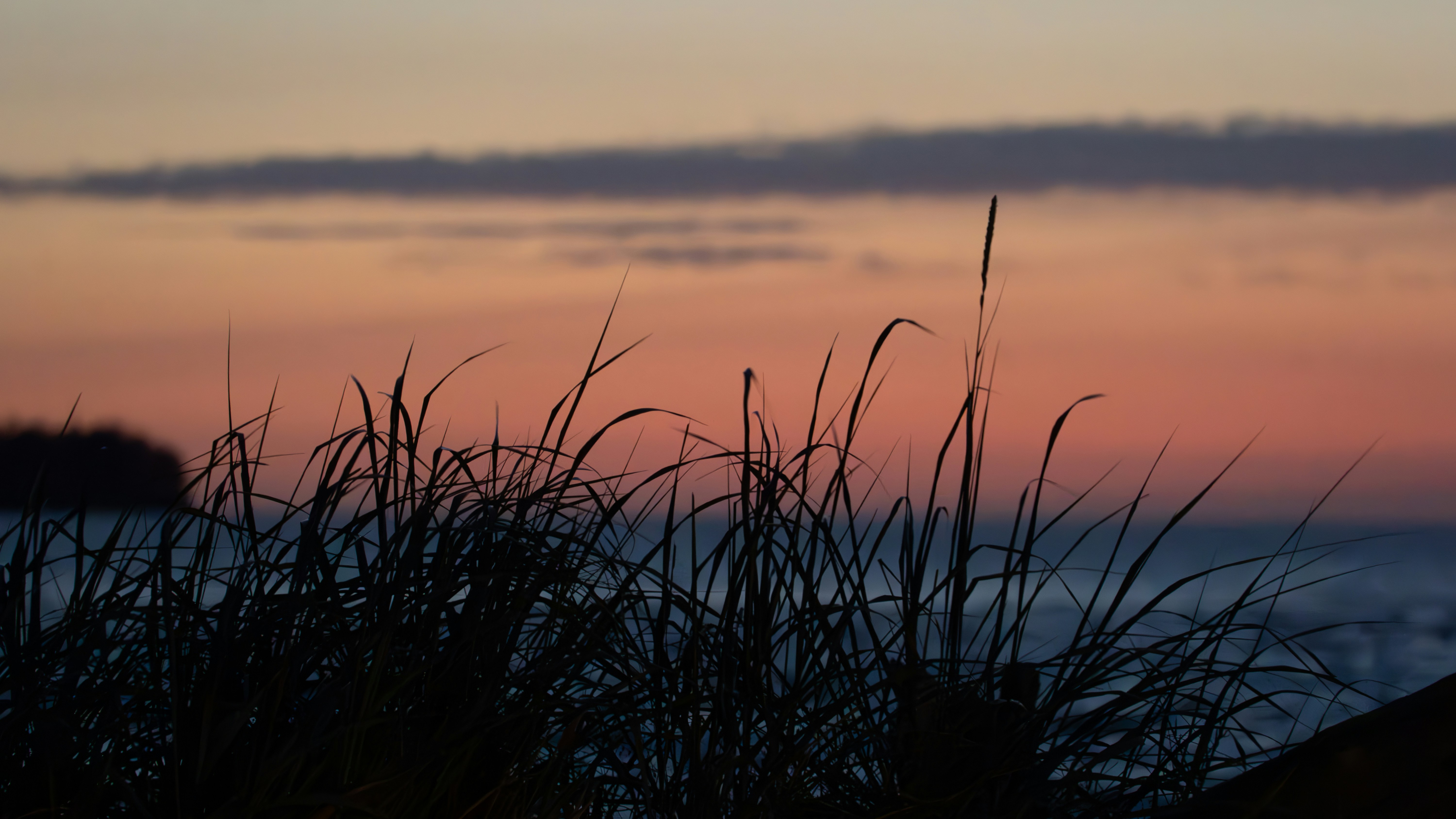 Photo by ghostdogg187